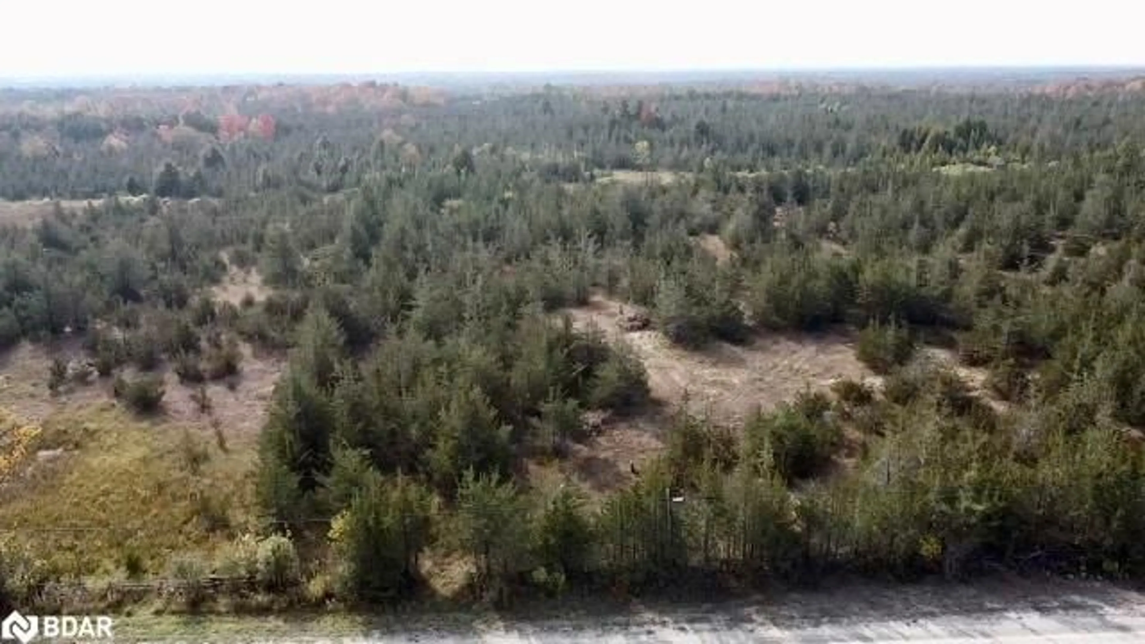 Forest view for PART A 0 Mccullough Rd, Tyendinaga Ontario K0K 2N0