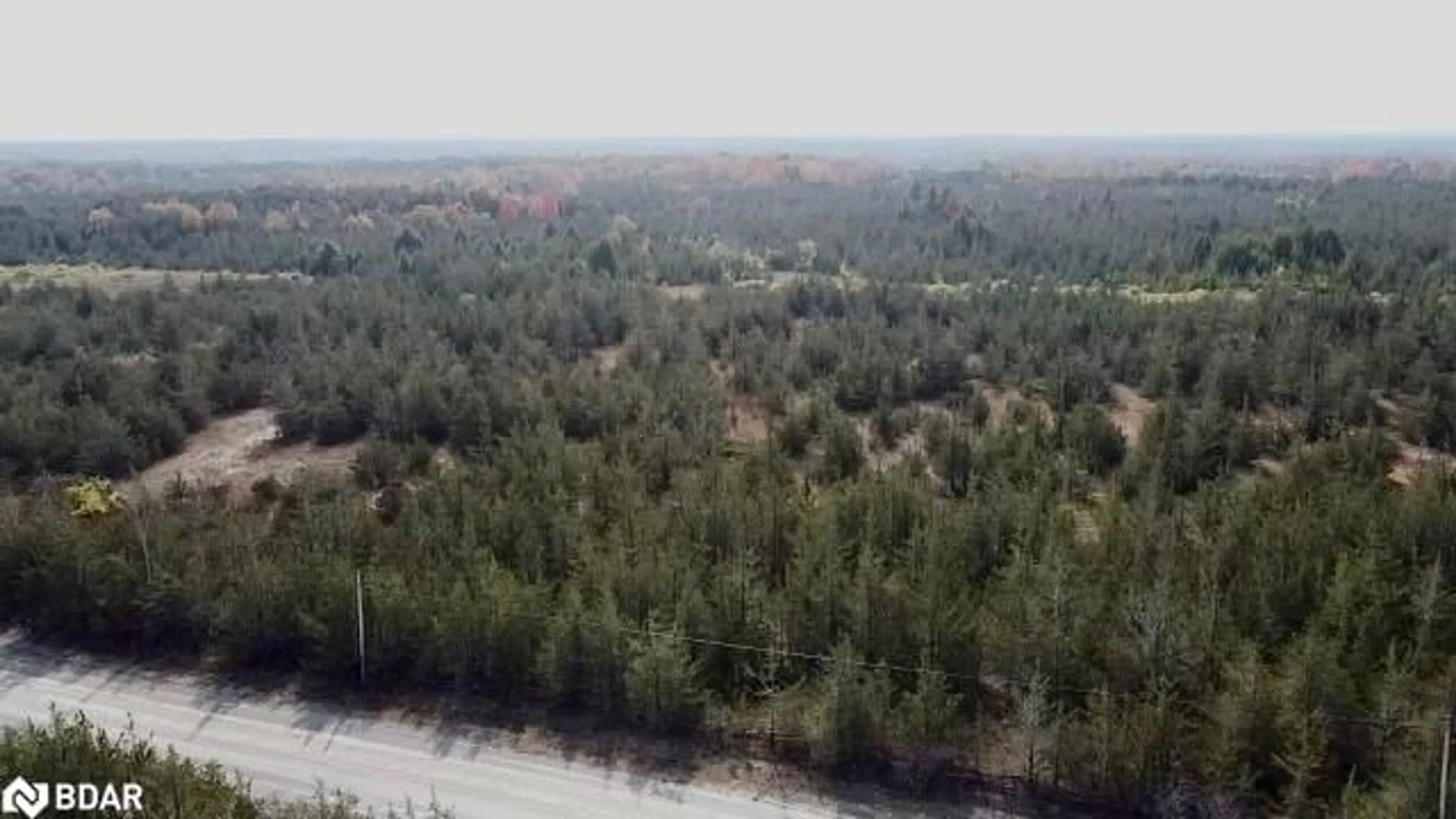 Forest view for PART B 0 Mccullough Rd, Tyendinaga Ontario K0K 2N0