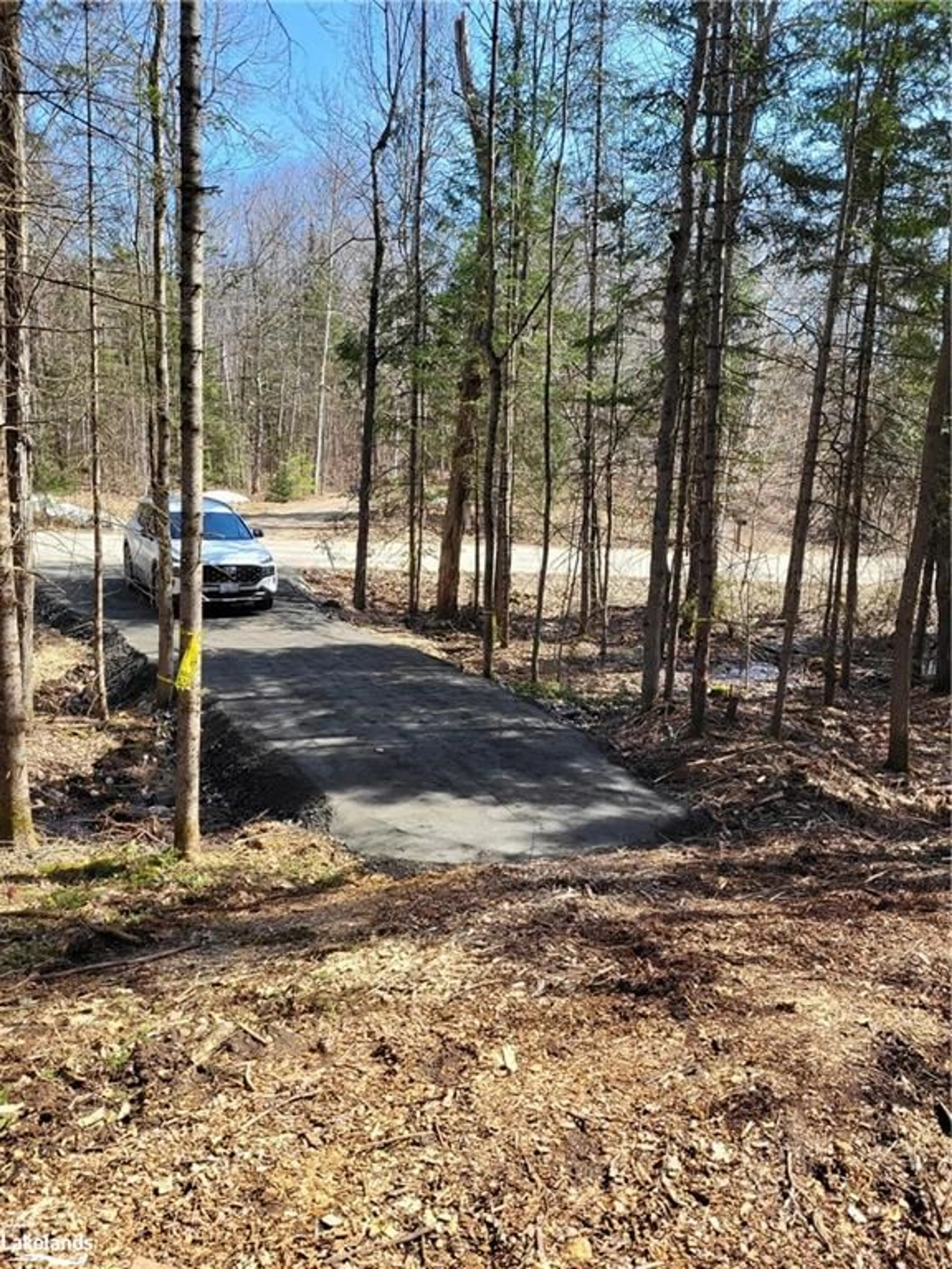 Forest view for LOT 5 Fairy Falls Rd, Baysville Ontario P0B 1A0