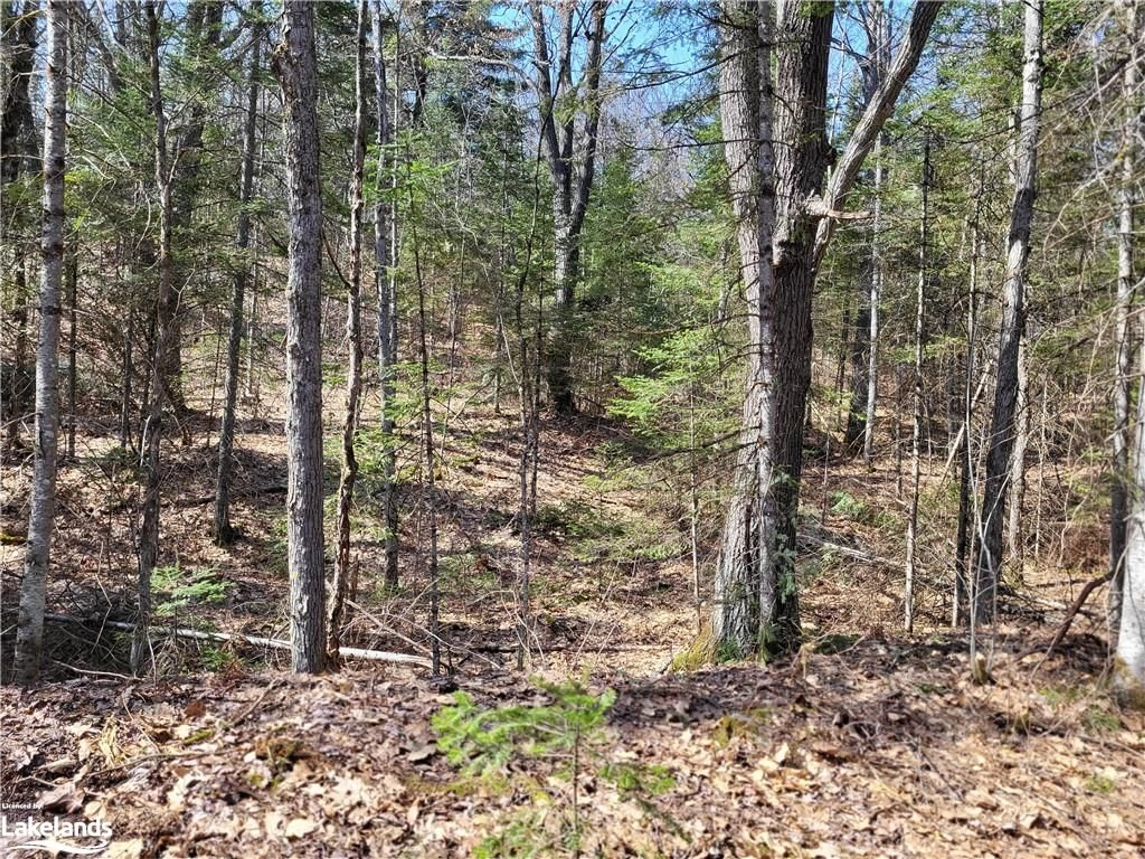 A pic of a room, unknown floor for LOT 5 Fairy Falls Rd, Baysville Ontario P0B 1A0