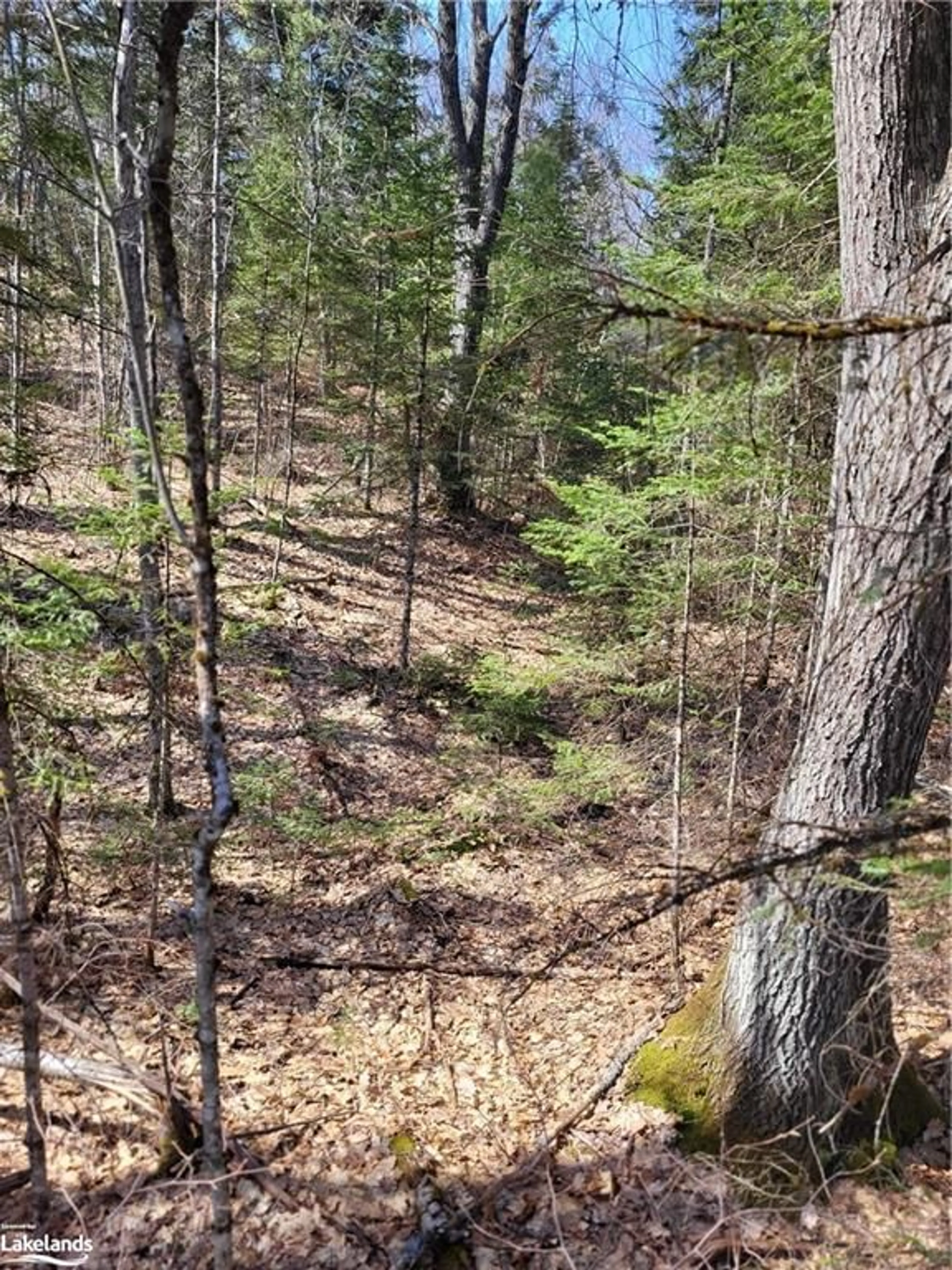 A pic of a room, unknown floor for LOT 5 Fairy Falls Rd, Baysville Ontario P0B 1A0