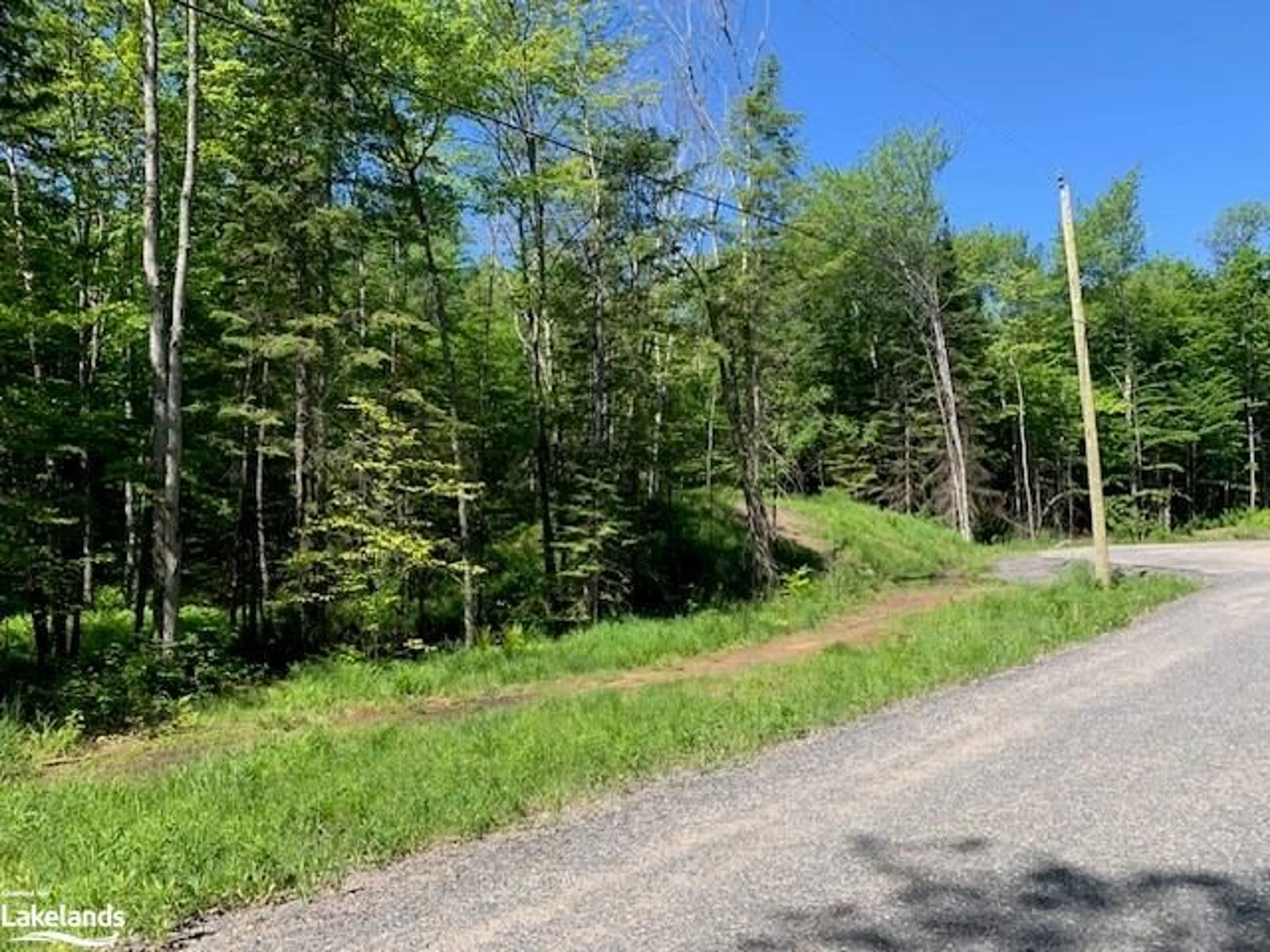 Forest view for 60 Summer Leigh Trail, Huntsville Ontario P0B 1M0