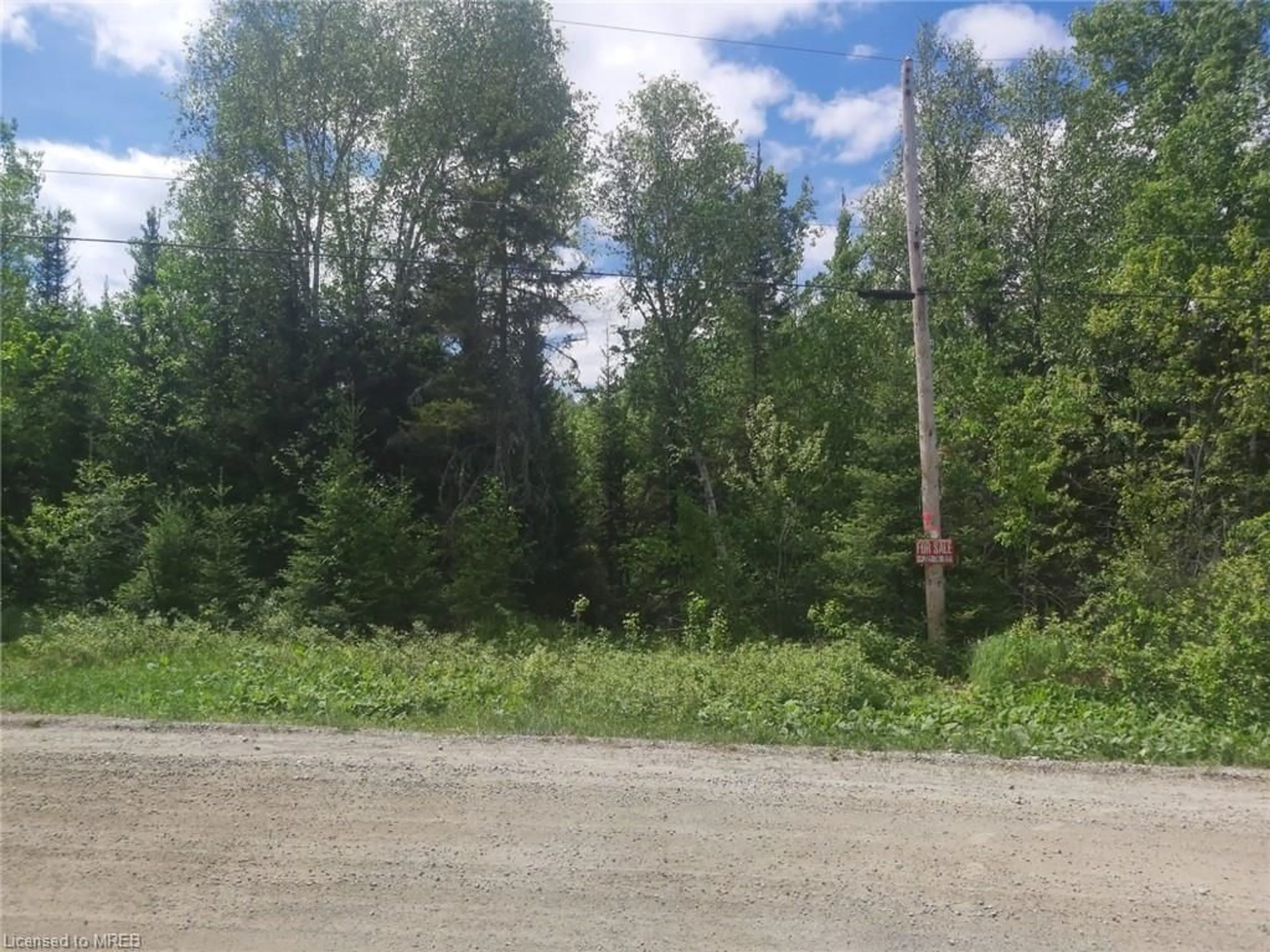 Forest view for N/A Nepewassi Lake Rd, Markstay-Warren Ontario P0M 2G0