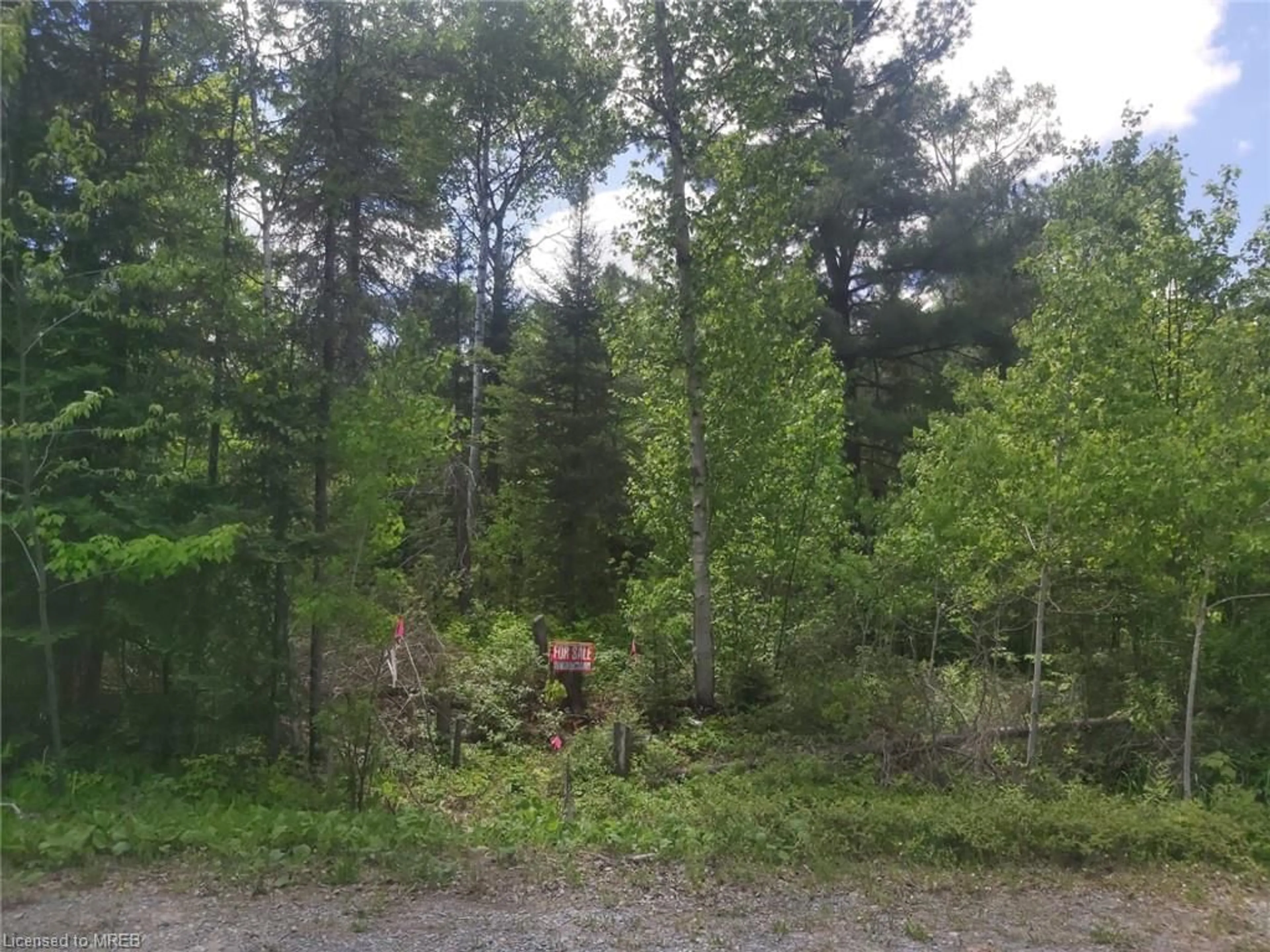 Forest view for N/A Nepewassi Lake Rd, Markstay-Warren Ontario P0M 2G0