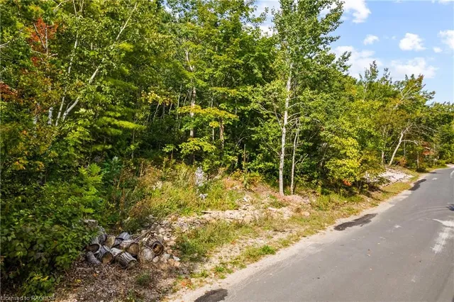 1132 Dyers Bay Rd, Miller Lake 5