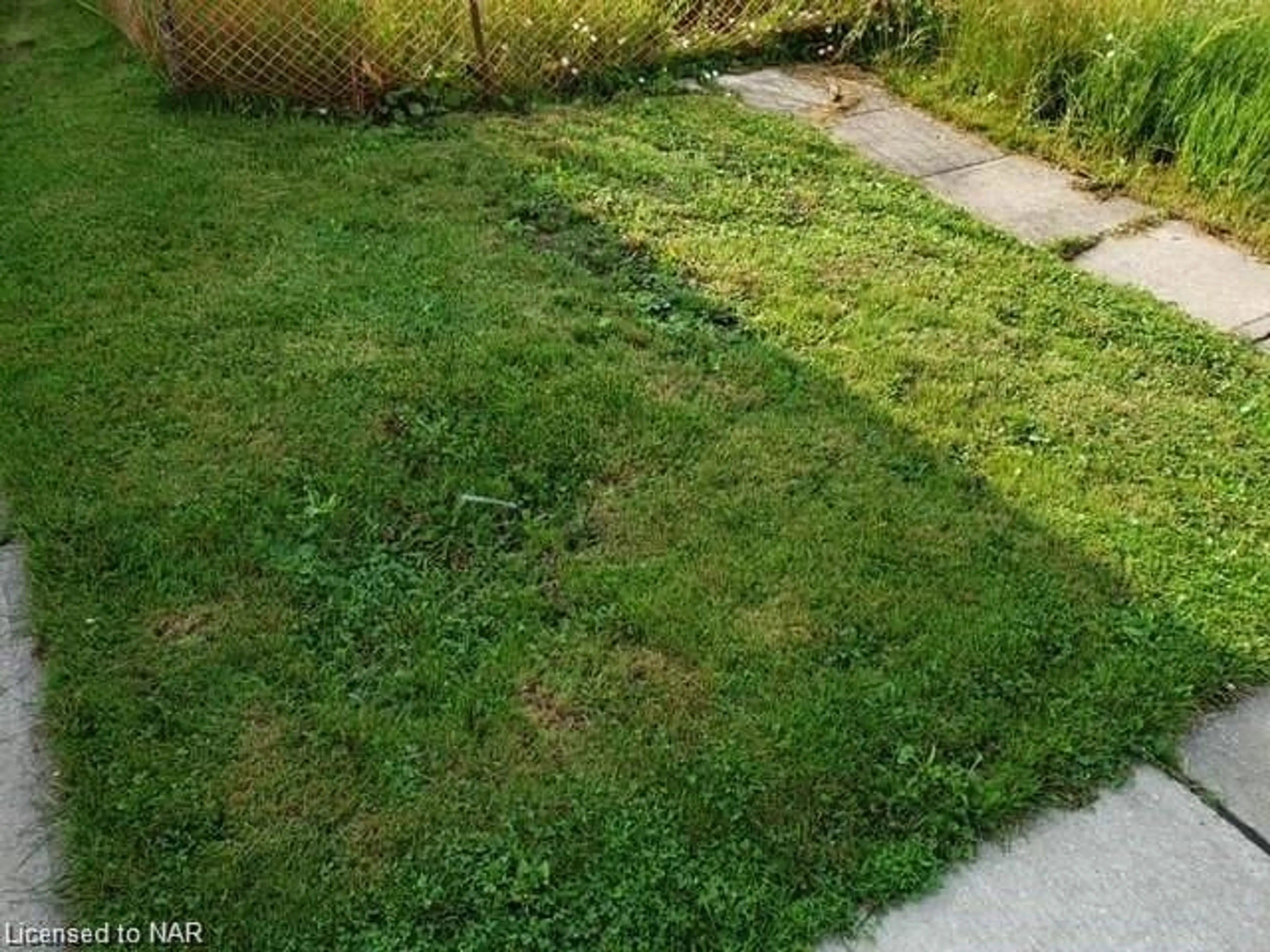 Fenced yard for 230 Cope St, Hamilton Ontario L8H 5B5