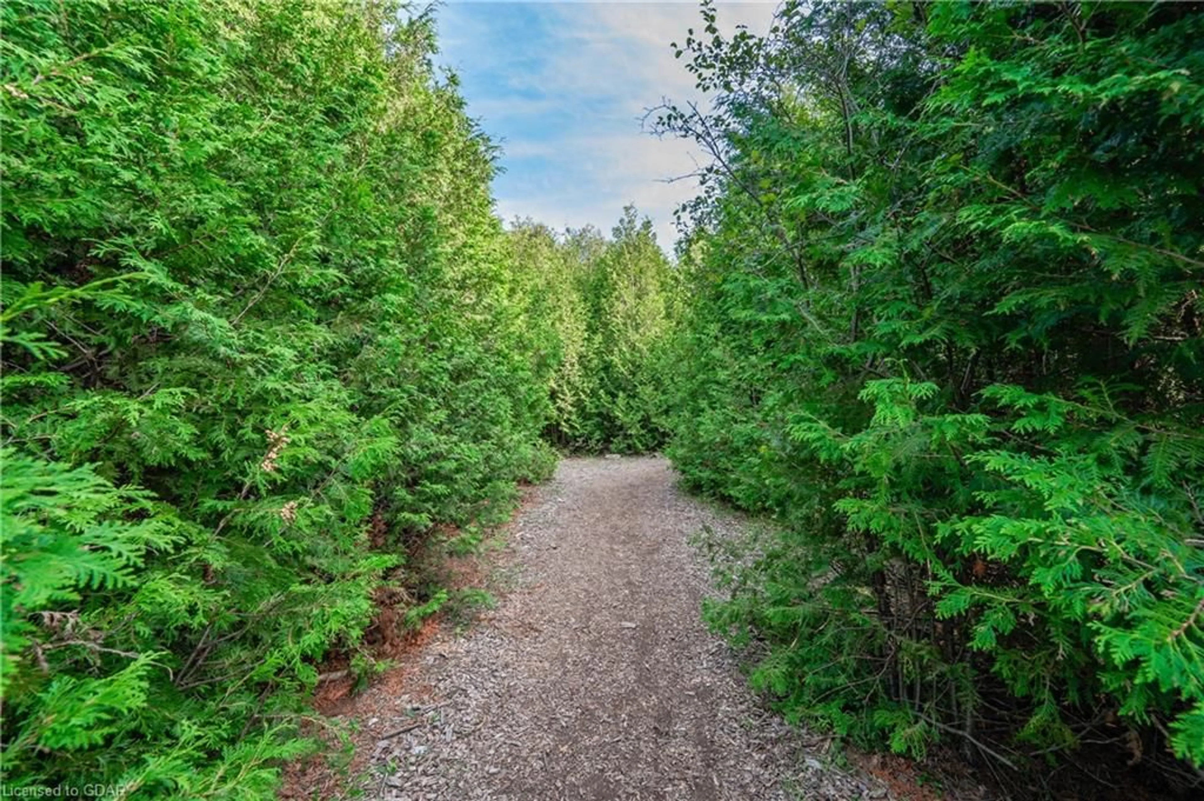 Forest view for 739 Stone Rd, Guelph Ontario N1L 1B8