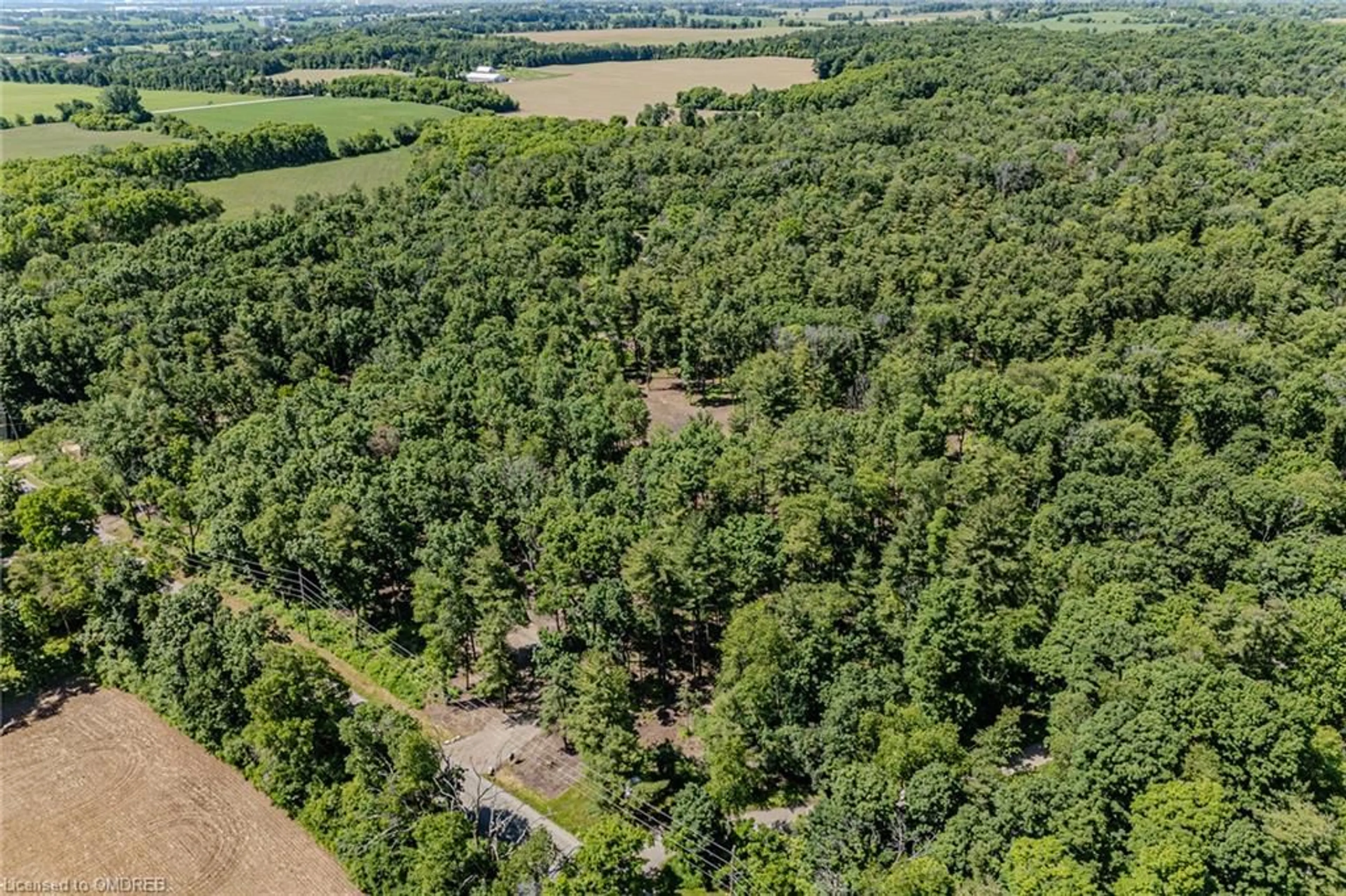 Forest view for 155 Clarke Road, Paris Ontario N3L 3E1