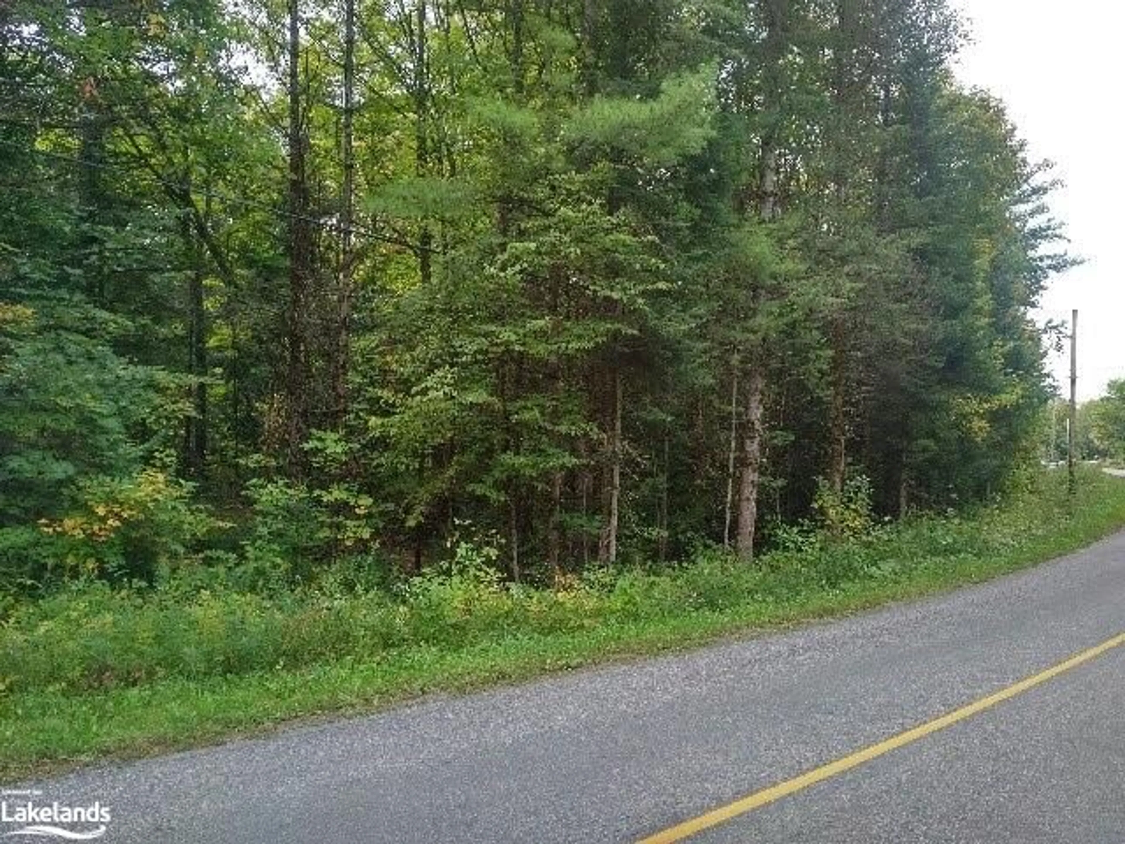 Forest view for 1629 Fairgrounds Rd, Ramara Township Ontario L3V 6H2