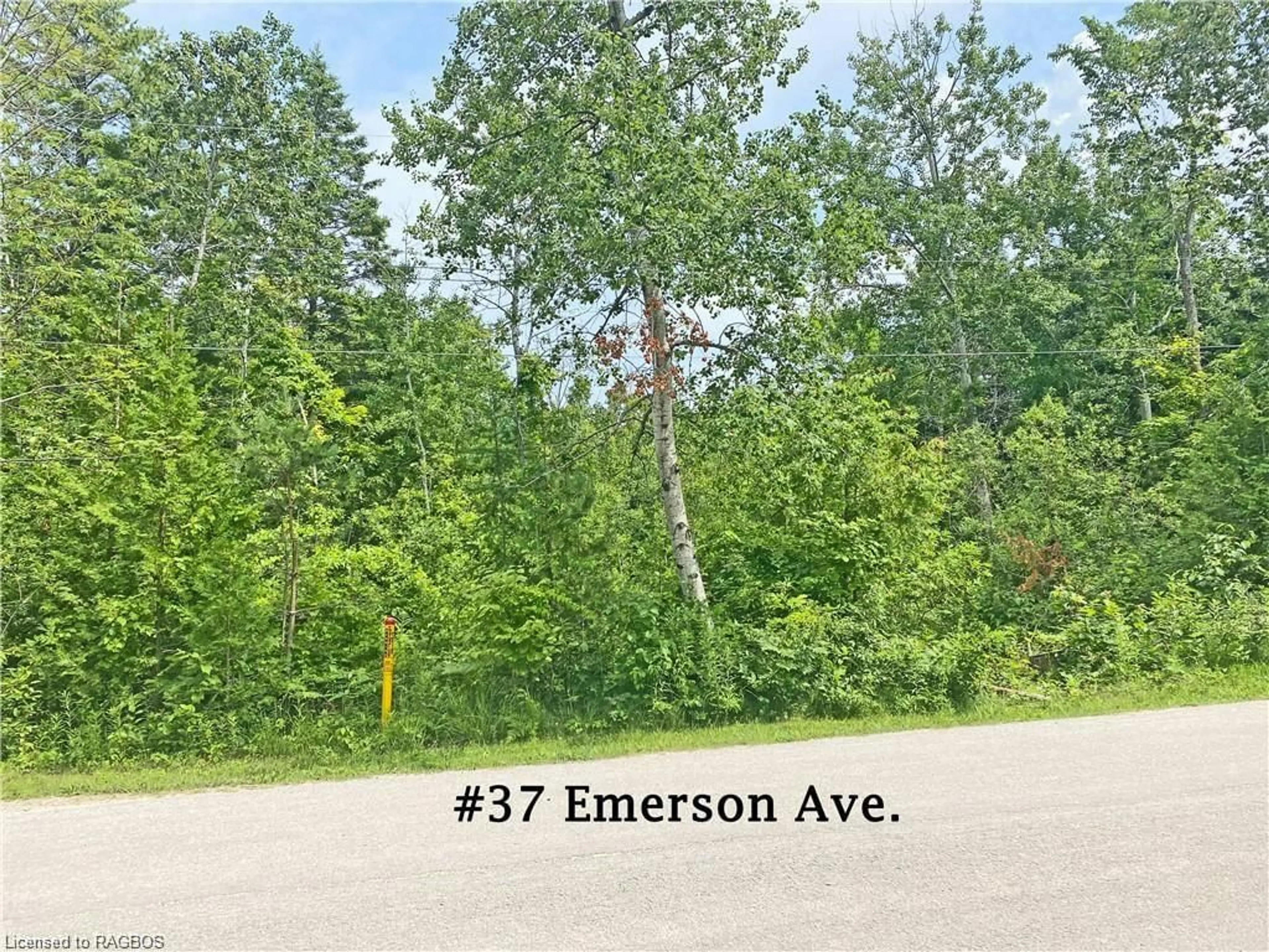 Street view for 37 Emerson Ave, Sauble Beach Ontario N0H 2G0