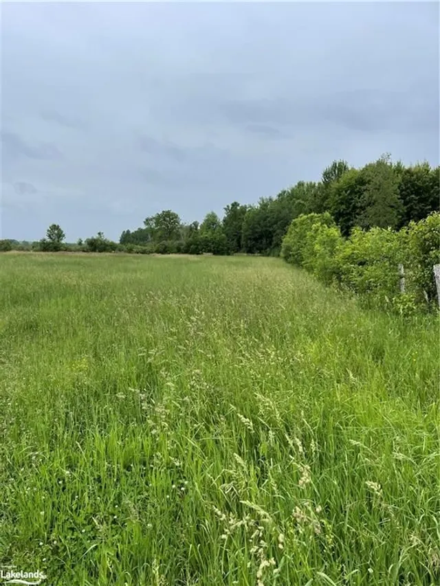 1744 Balkwill Line, Coldwater 4