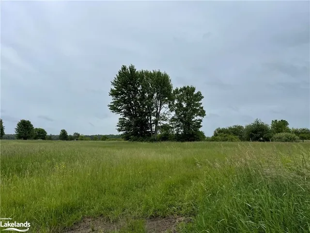 1744 Balkwill Line, Coldwater 5