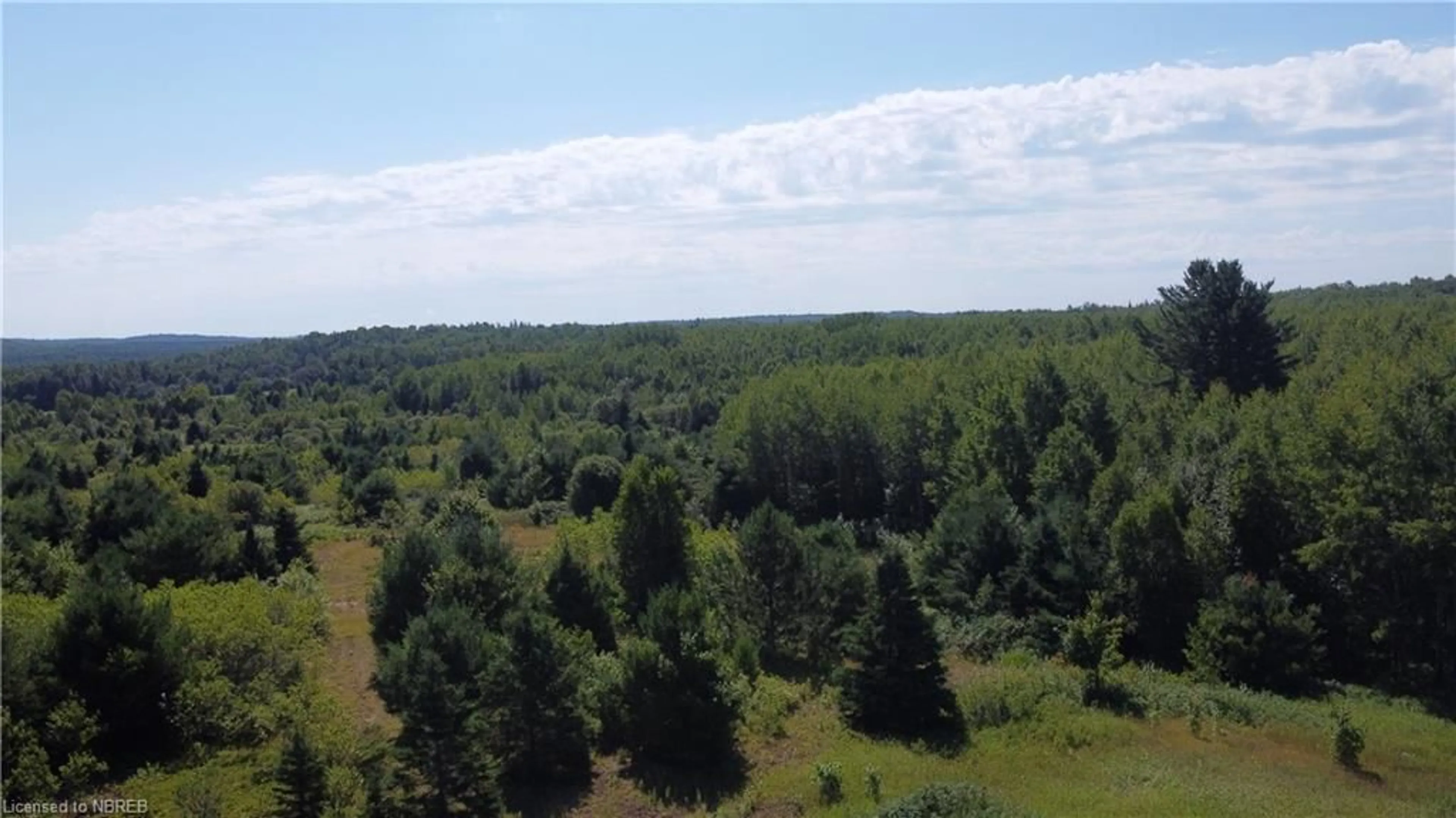 Forest view for PCL 13716 Rochon Rd, River Valley Ontario P0H 2C0