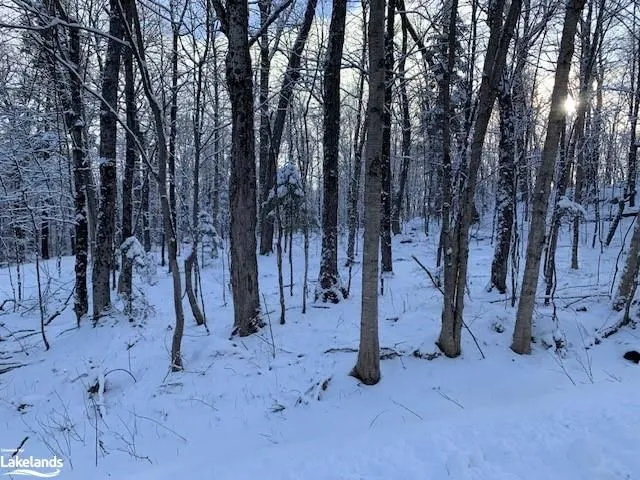 LOT 7 Chemical Rd, South River 5