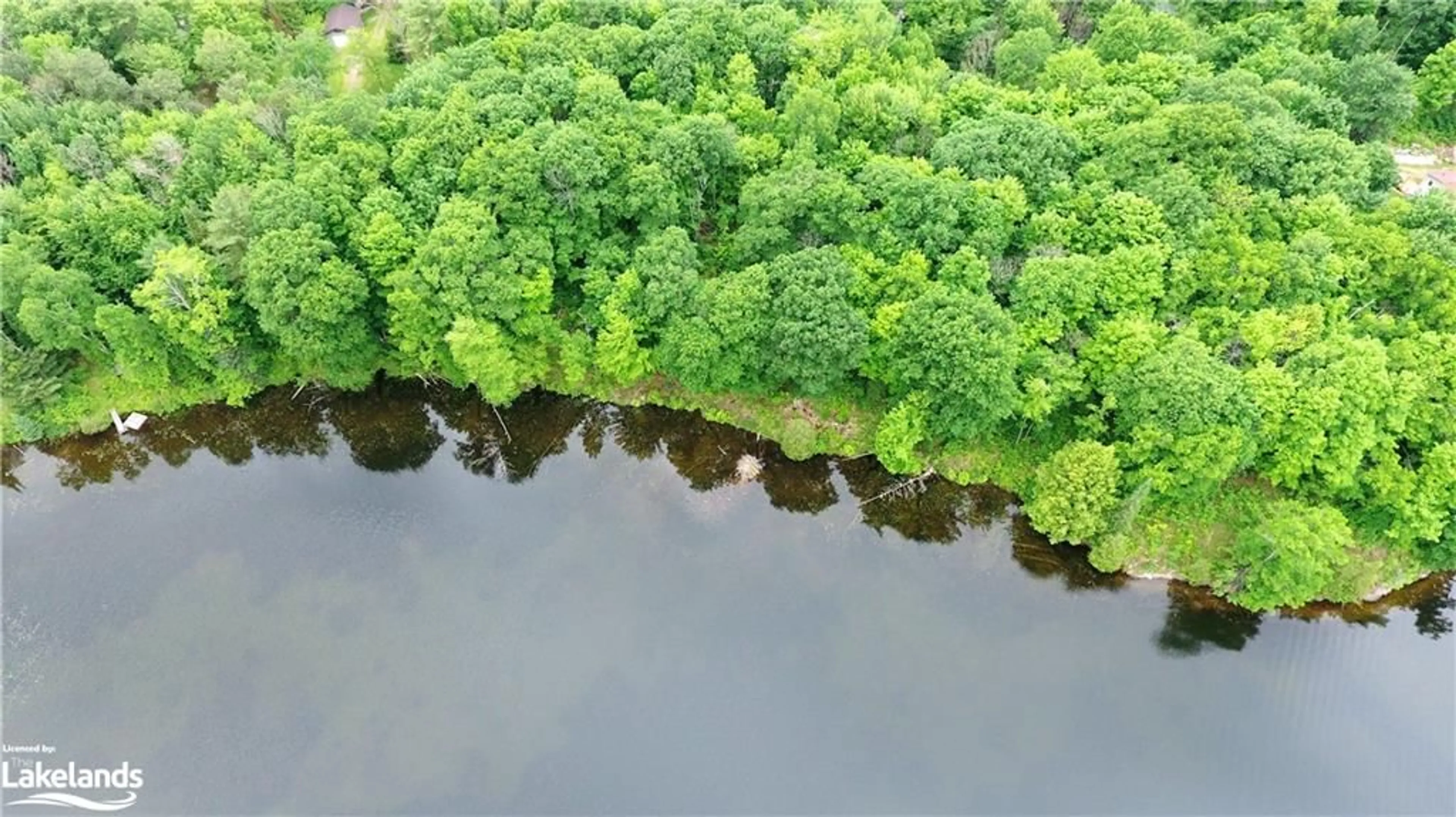 Forest view for 0 Medallion Trail, Minden Hills Ontario K0M 2L1