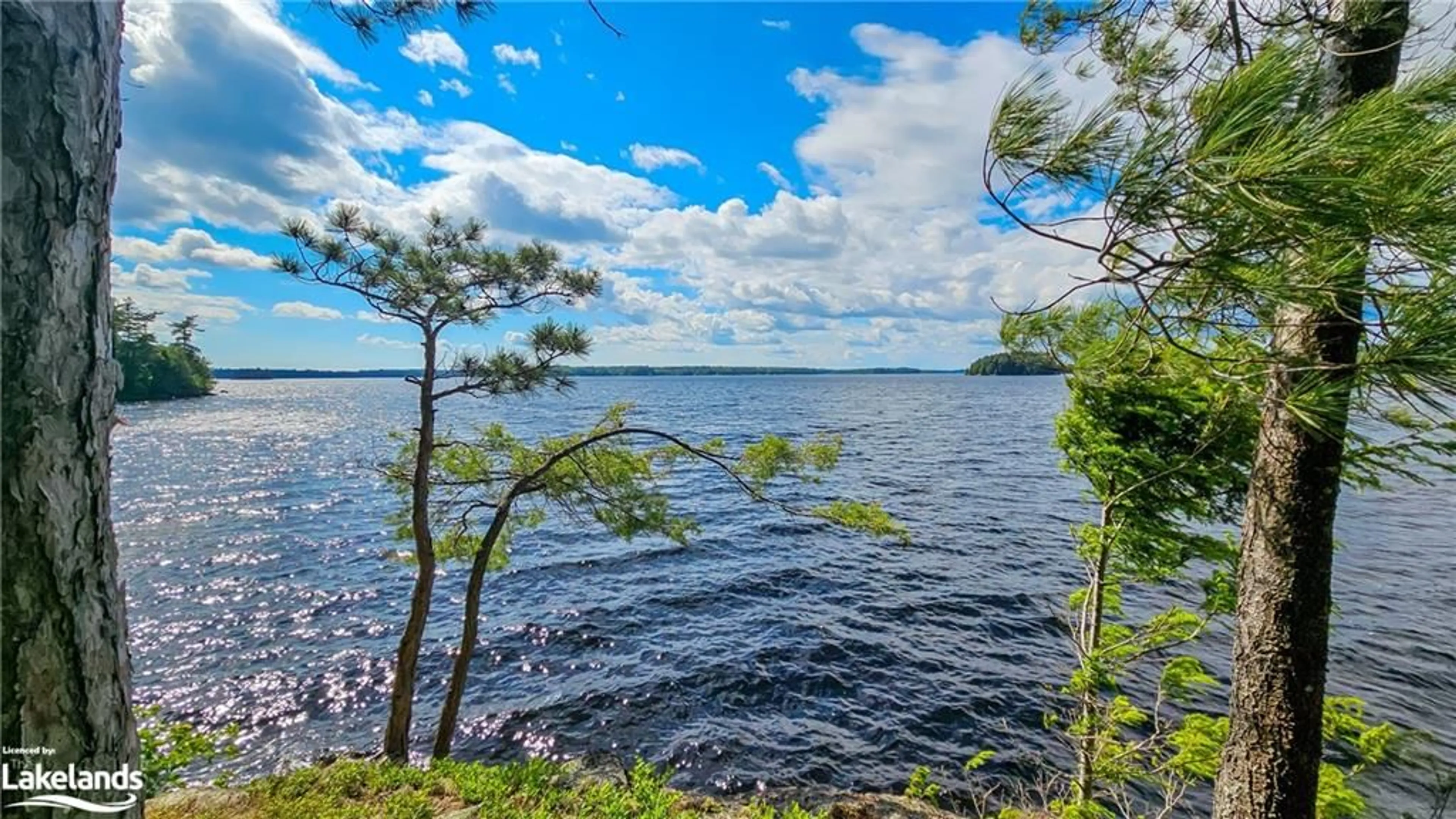 Lakeview for 1200 Browning Island, Bracebridge Ontario P1L 1X2