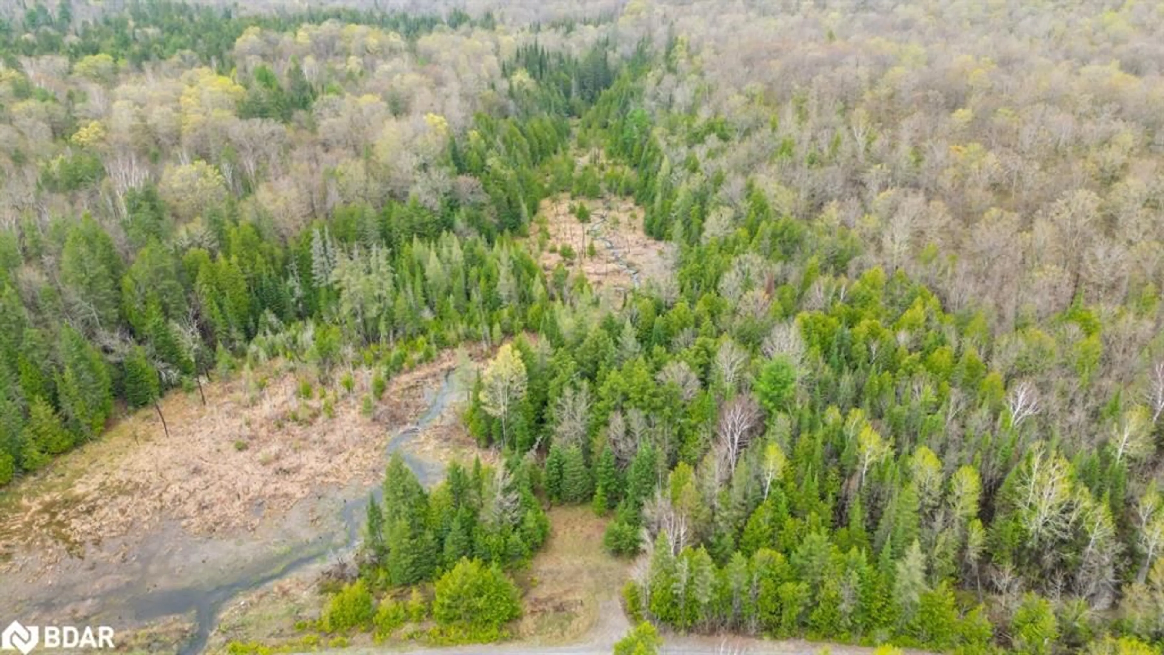 Forest view for 00 Spry Settlement Rd, Stirling Ontario K0K 3E0