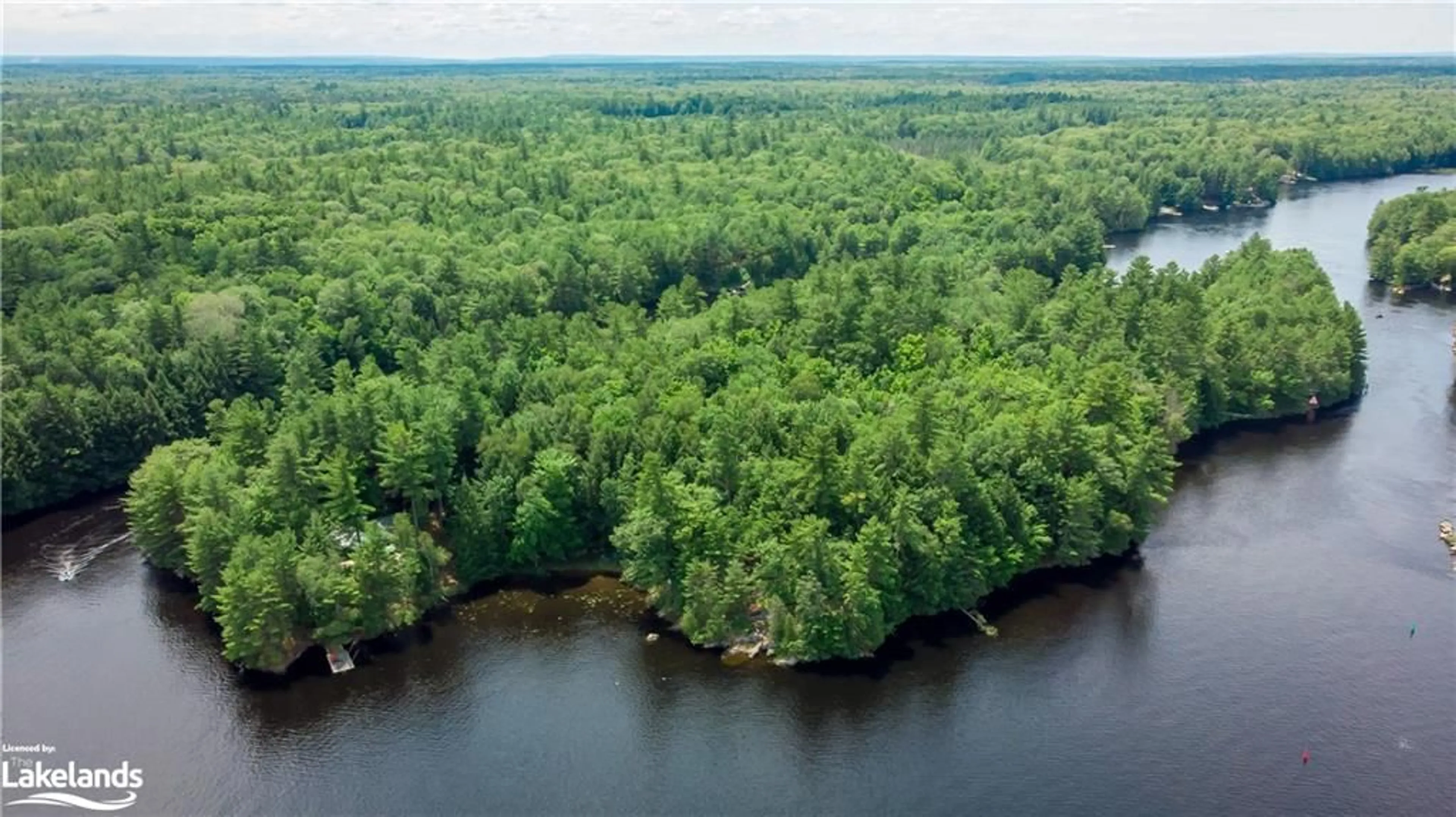 Forest view for 3463 Island No 7, Severn Ontario P0E 1N0