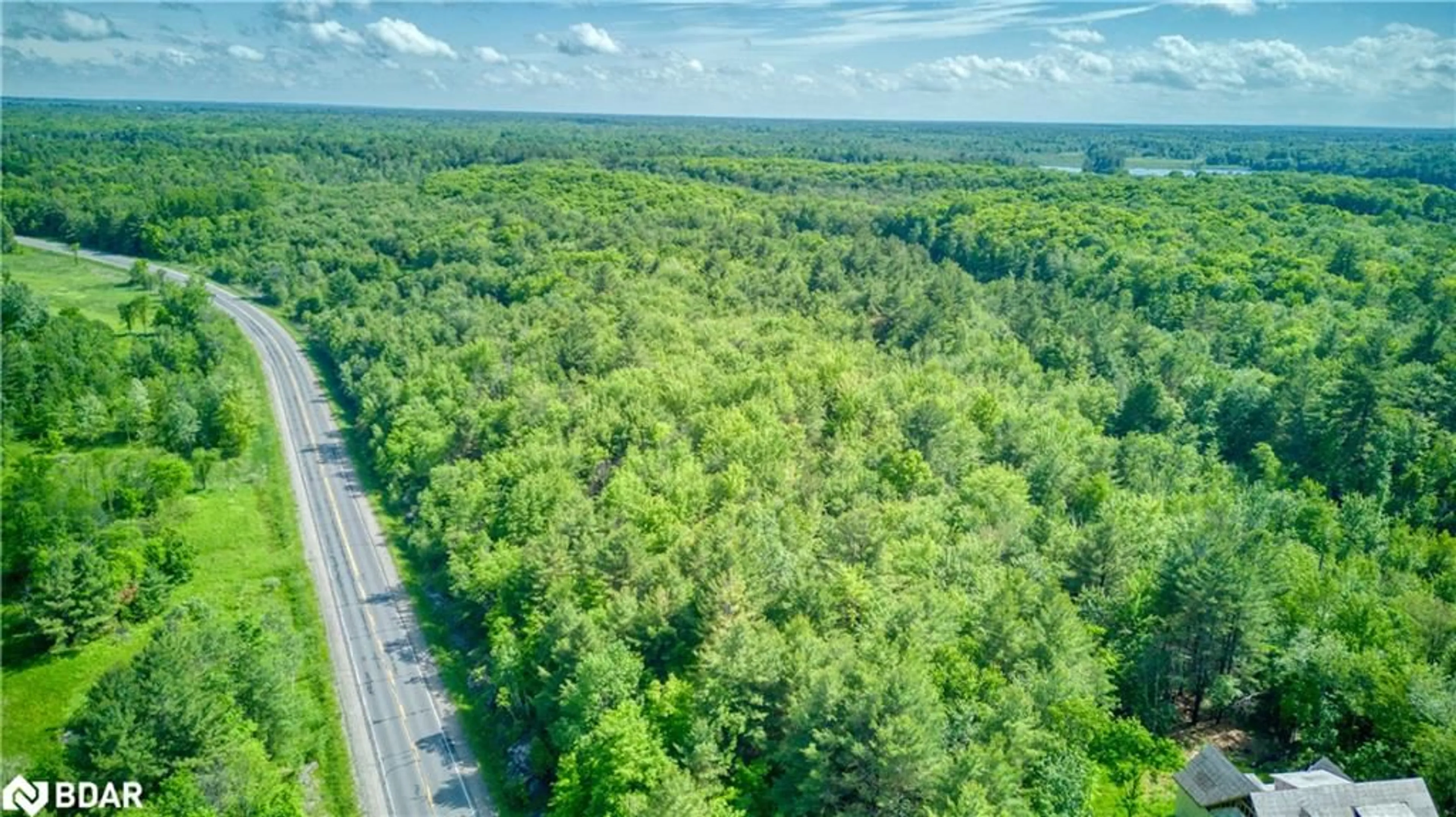 Forest view for 00 Road 38, Parham Ontario K0H 2K0