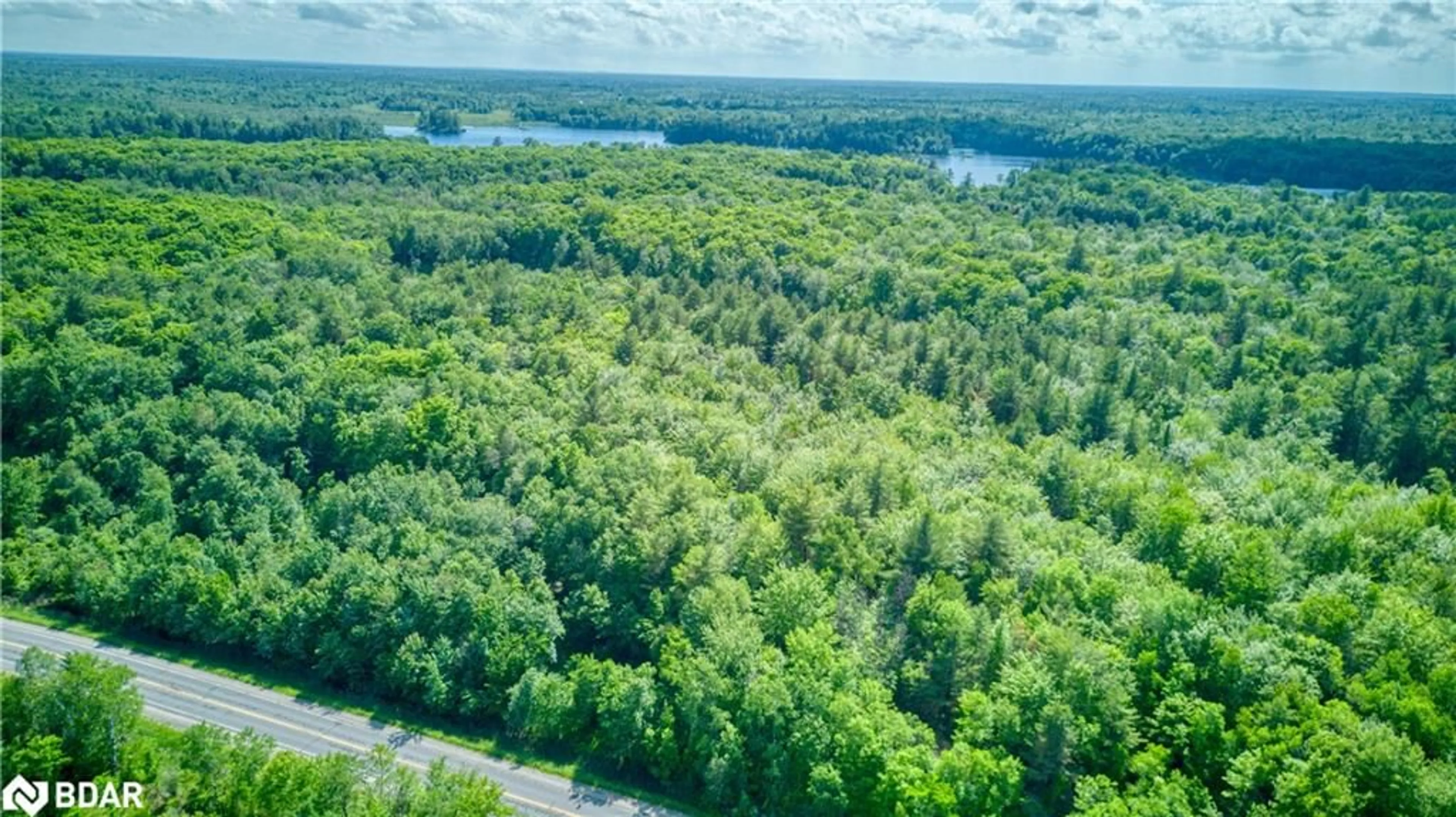 Forest view for 00 Road 38, Parham Ontario K0H 2K0
