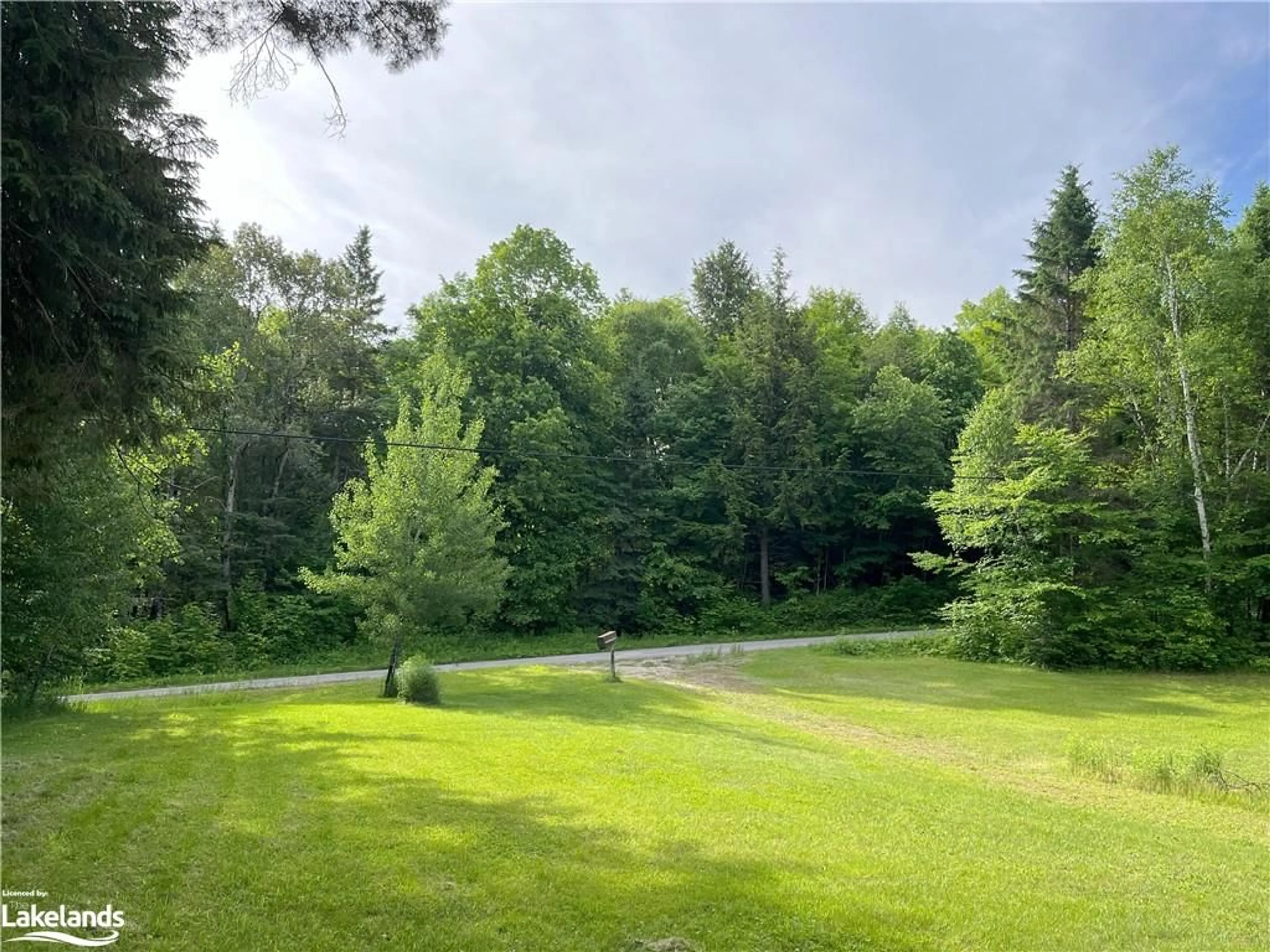 Forest view for 1329 Duck Lake Rd, Minden Ontario K0M 2K0