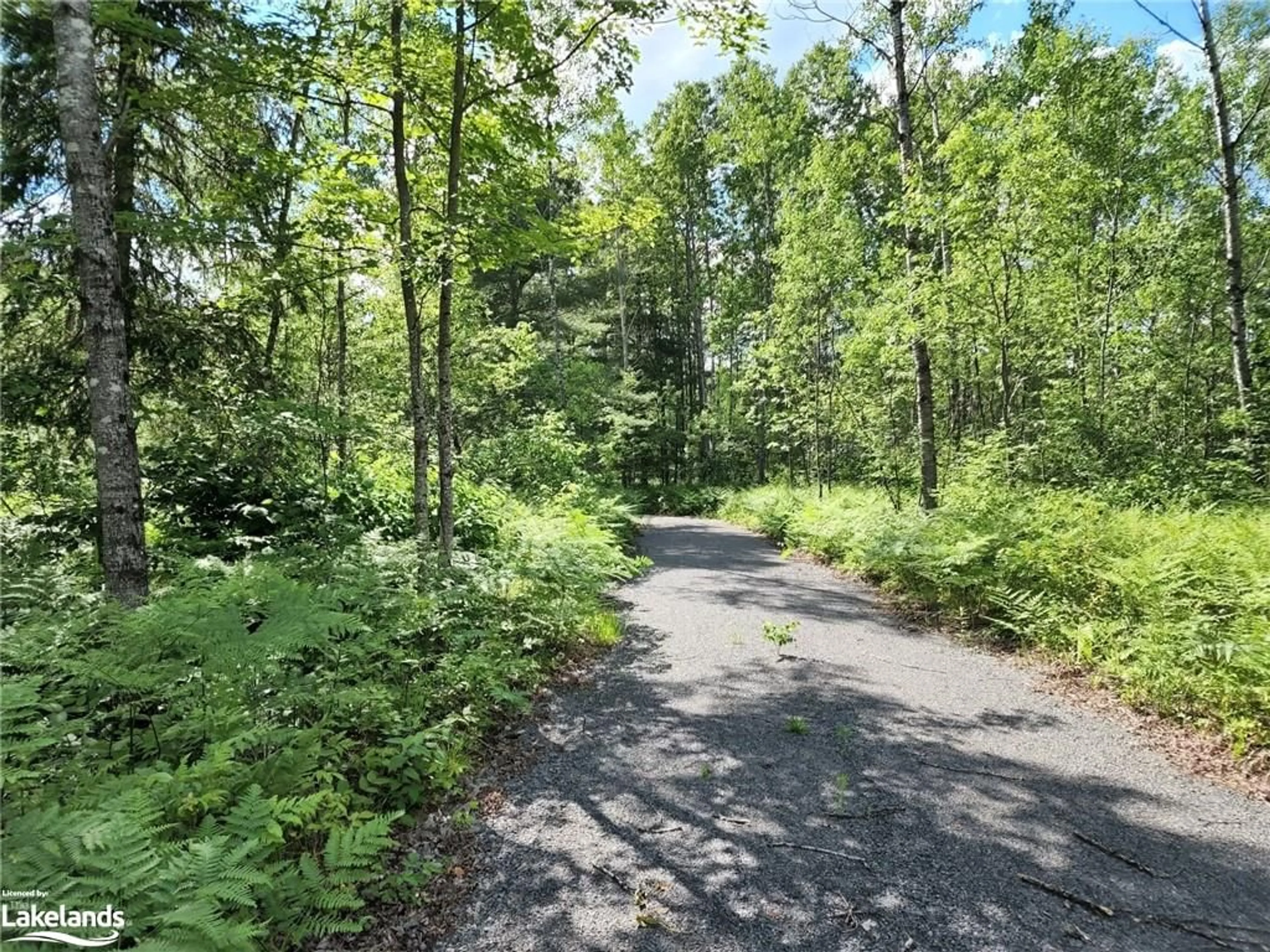 Forest view for 1075 Spring Lake Rd, Dwight Ontario P0A 1H0