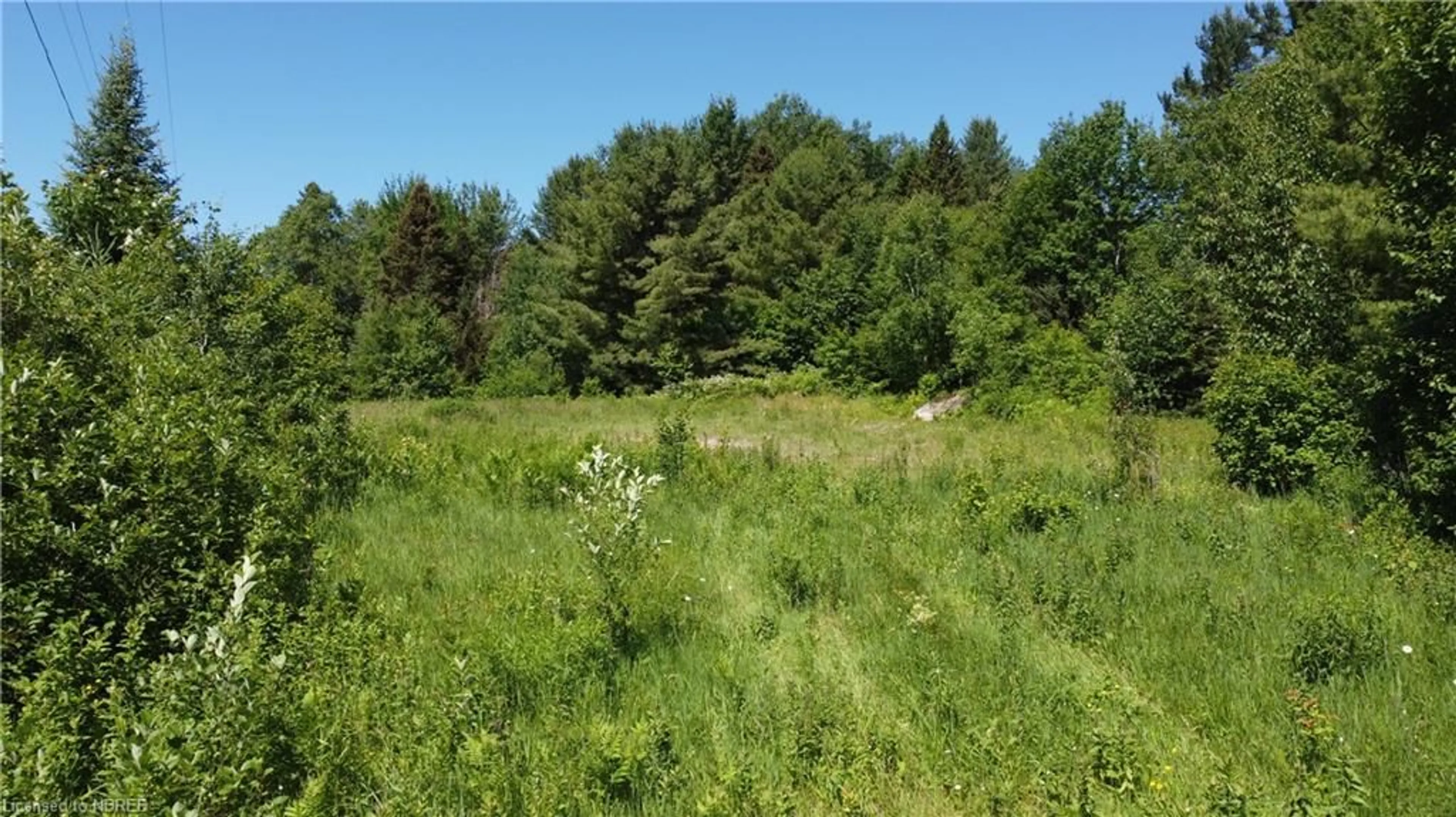 Forest view for LOT  28 Galston Rd, Calvin Ontario P0H 1V0