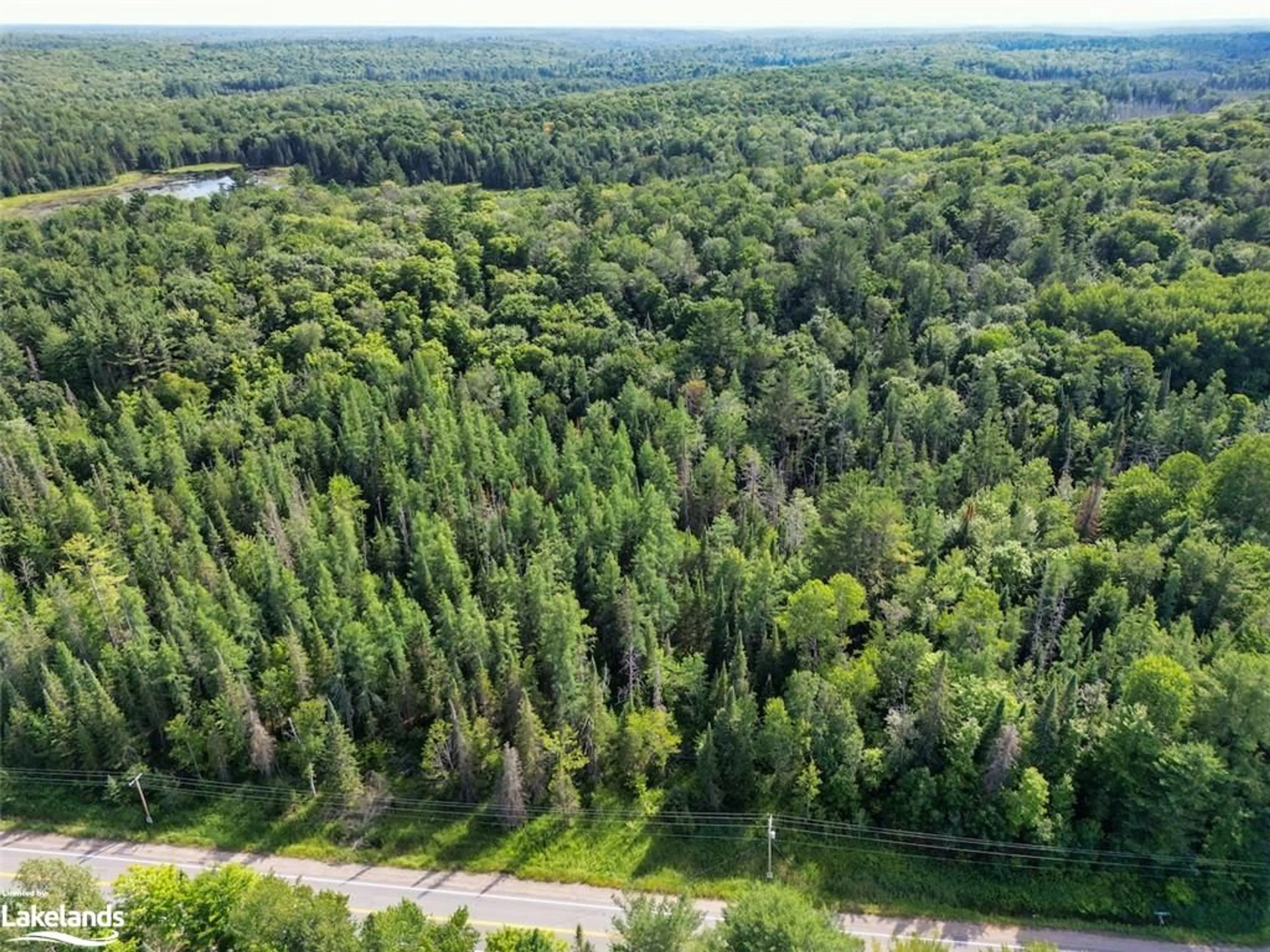 Forest view for 2161 Brunel Rd, Huntsville Ontario P1H 2J3