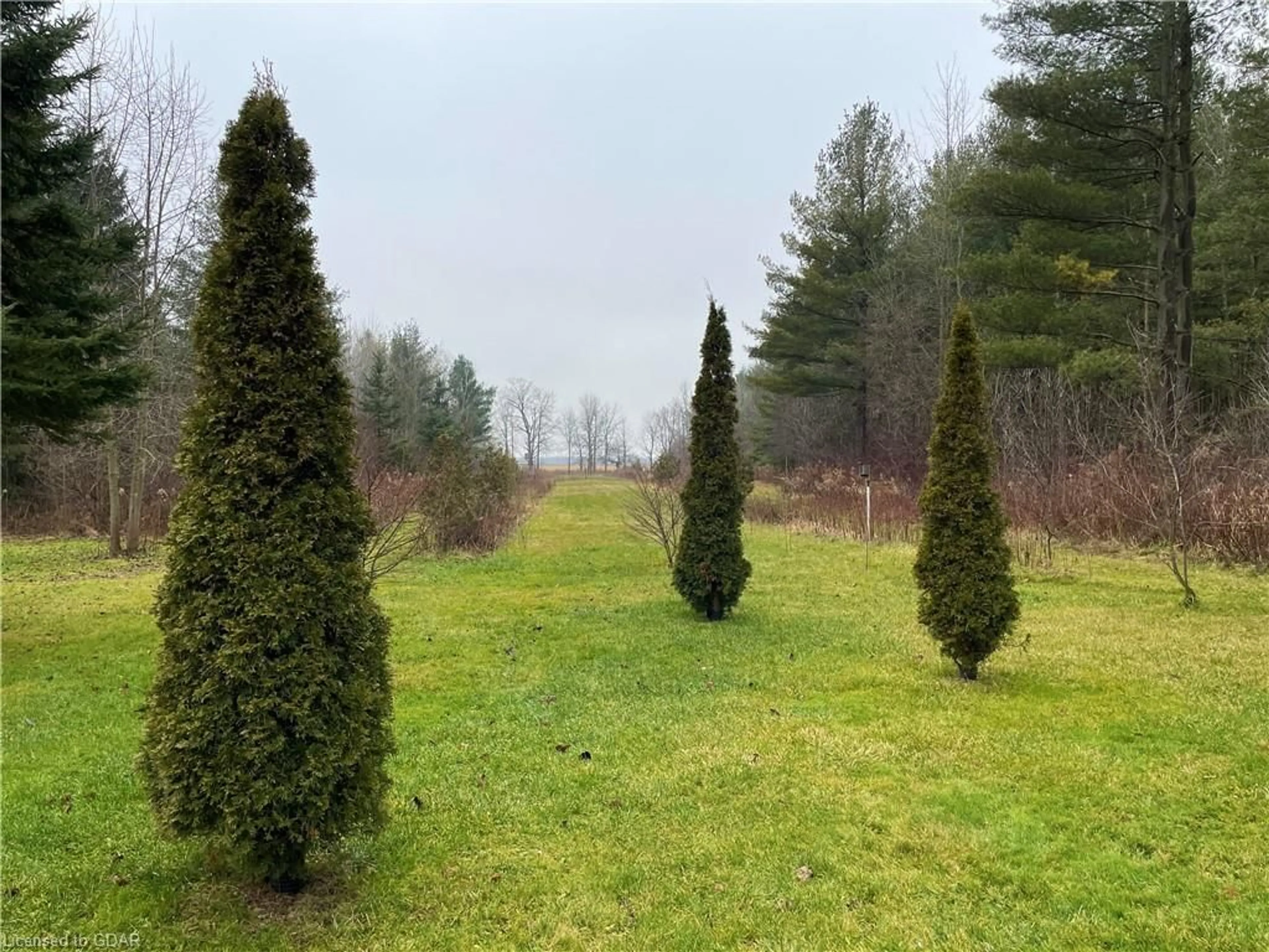 Forest view for 919 Guelph Rd, Fergus Ontario N1M 3G5