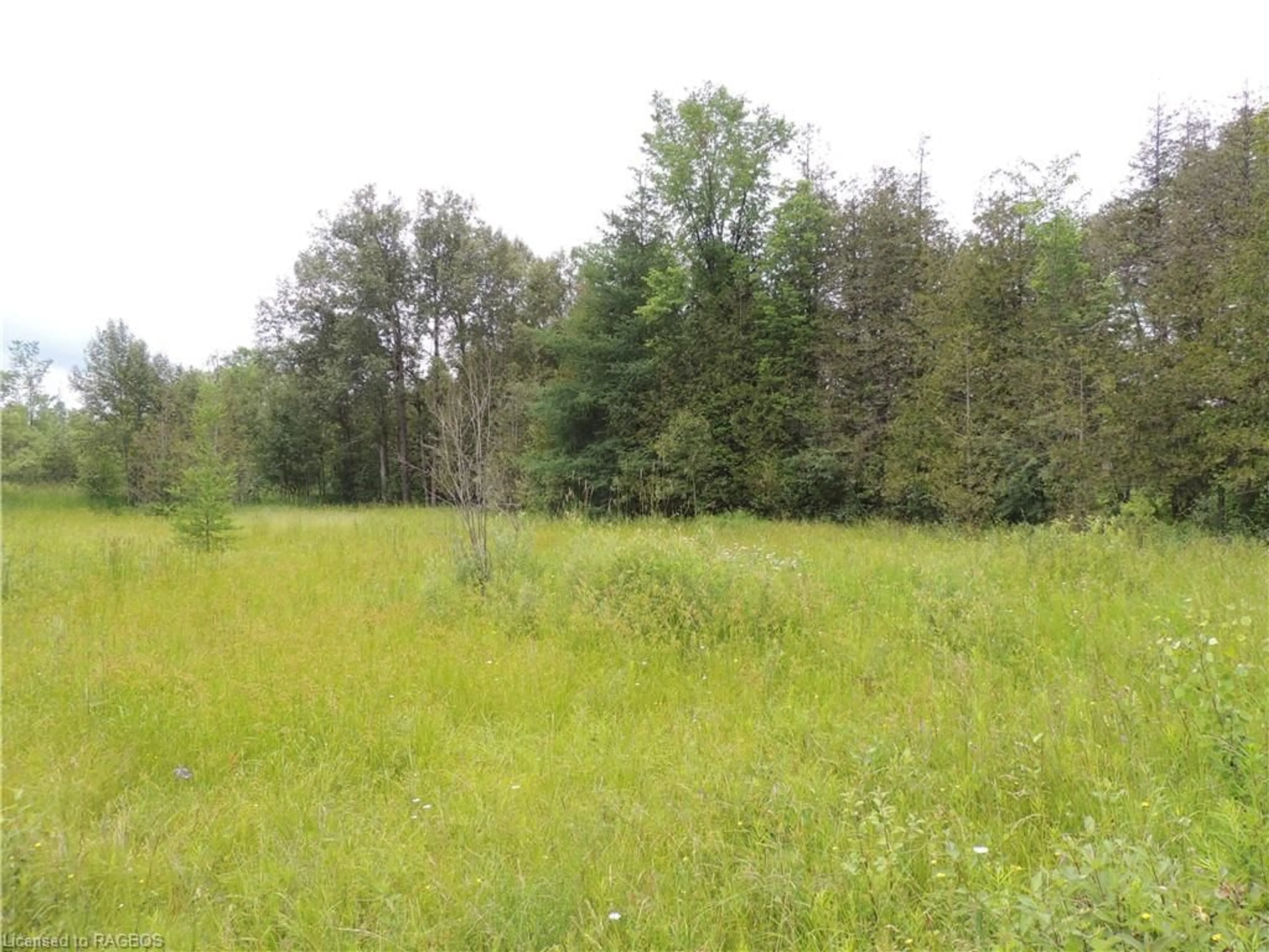 Forest view for 620420 Robson Rd, Chatsworth (Twp) Ontario N0H 1R0