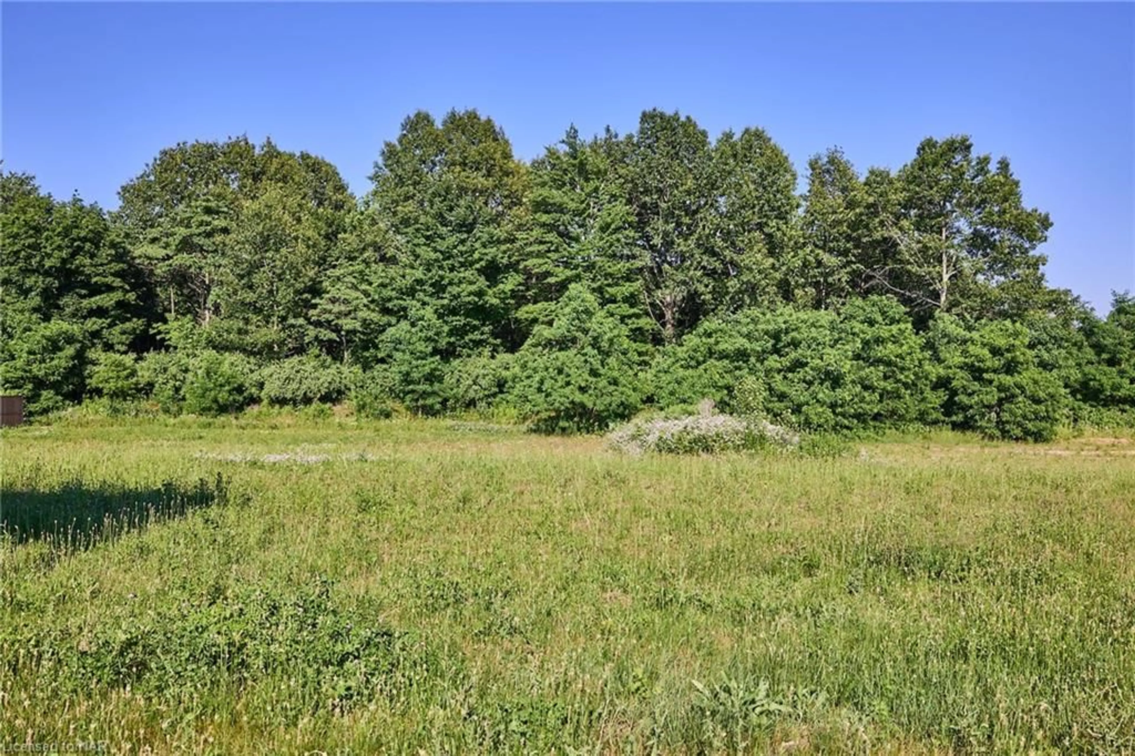 Forest view for LOT 9 Balfour St, Fenwick Ontario L0S 1C0