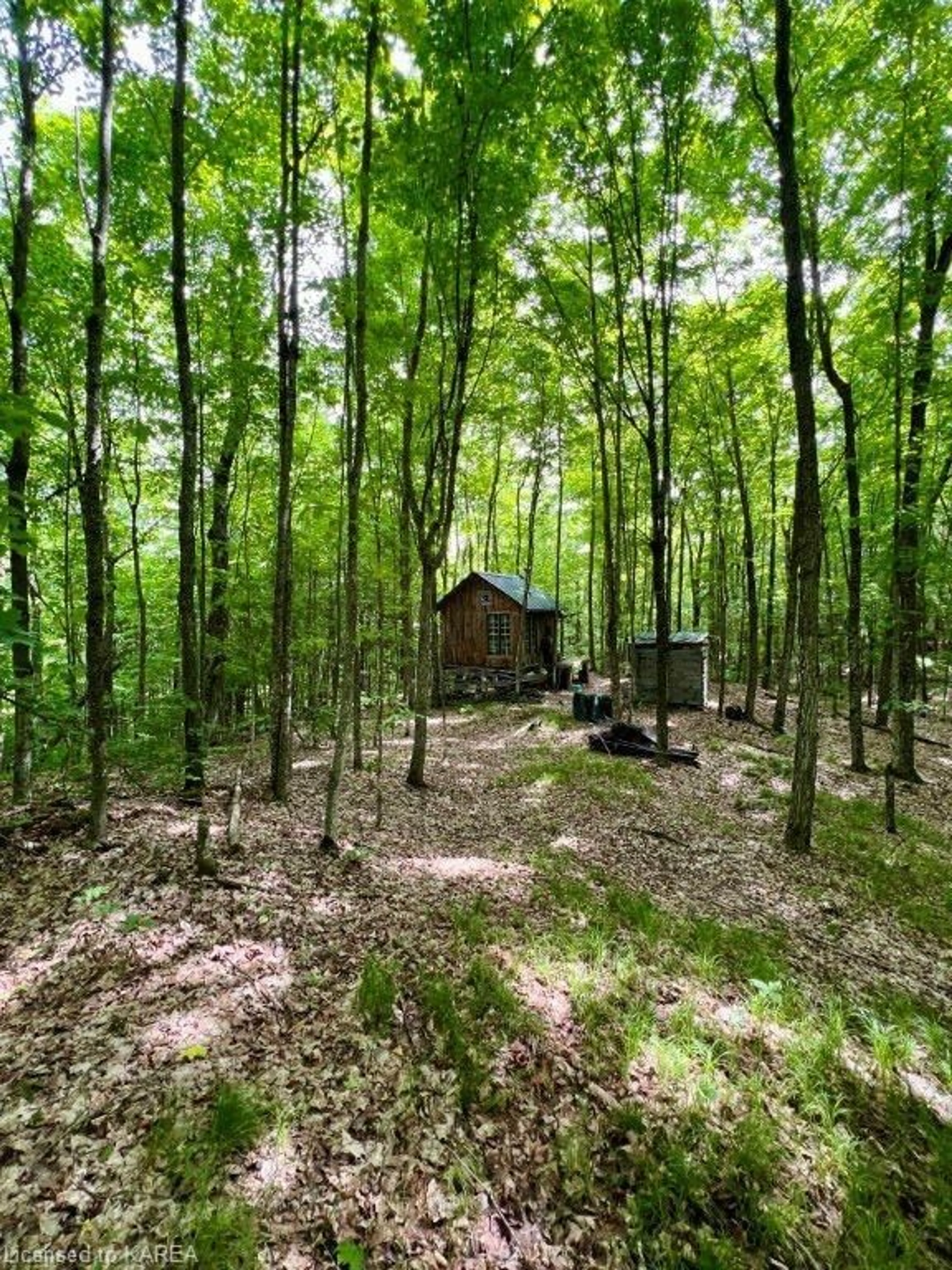 Forest view for LOT 31 Wintergreen Rd, Northbrook Ontario K0H 2G0