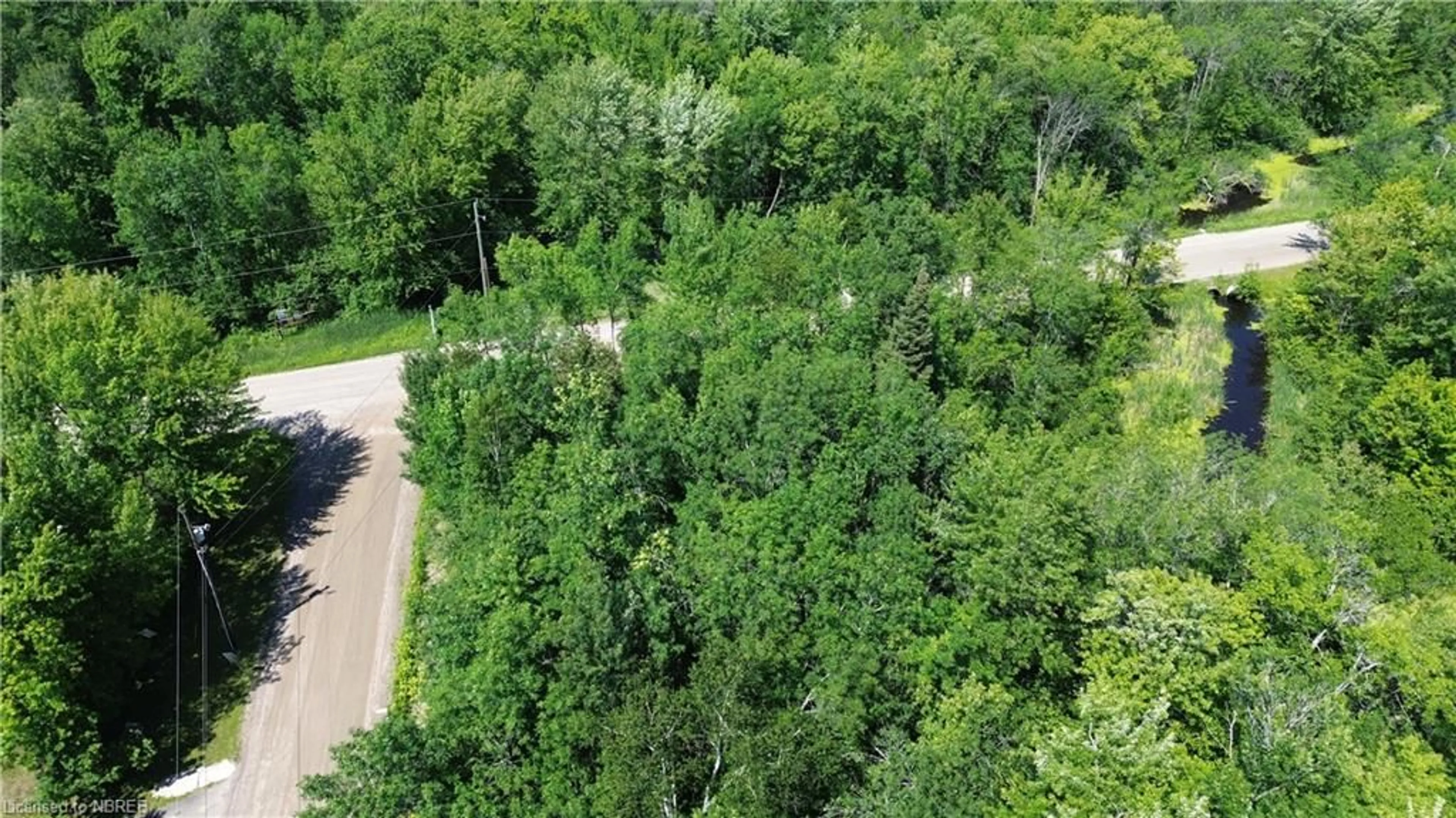 Forest view for PT LT 5 Marleau Rd, Sturgeon Falls Ontario P2B 2X2