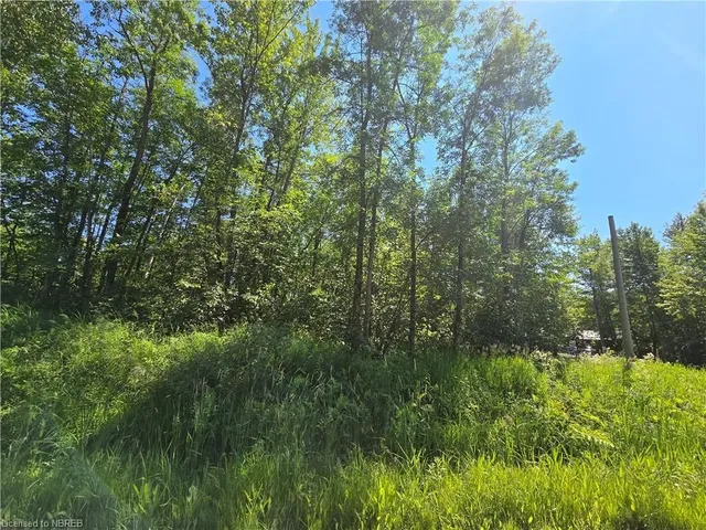 PT LT 5 Marleau Rd, Sturgeon Falls 5