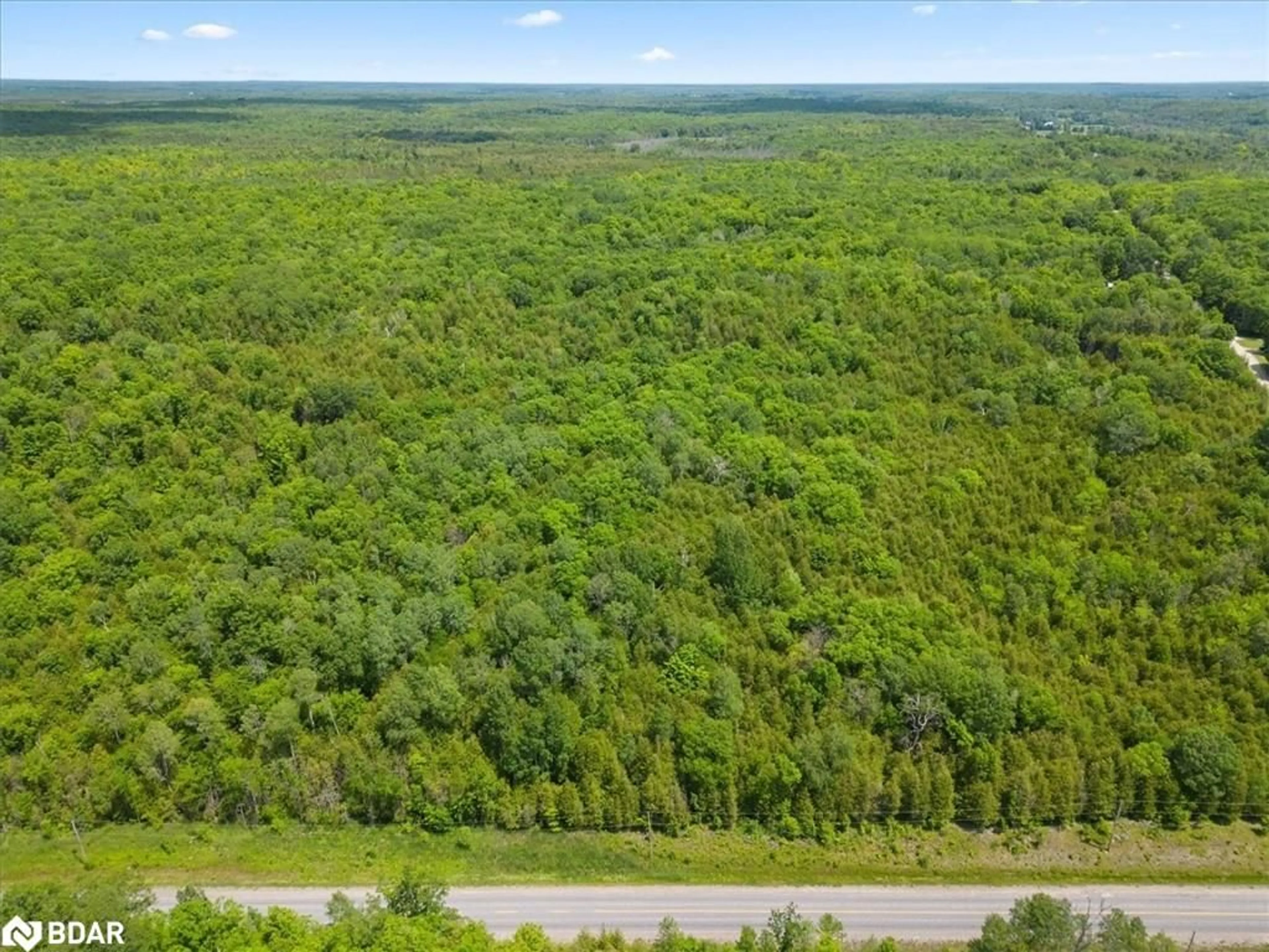 Forest view for 0 Marlbank Rd, Tweed Ontario K0K 3J0