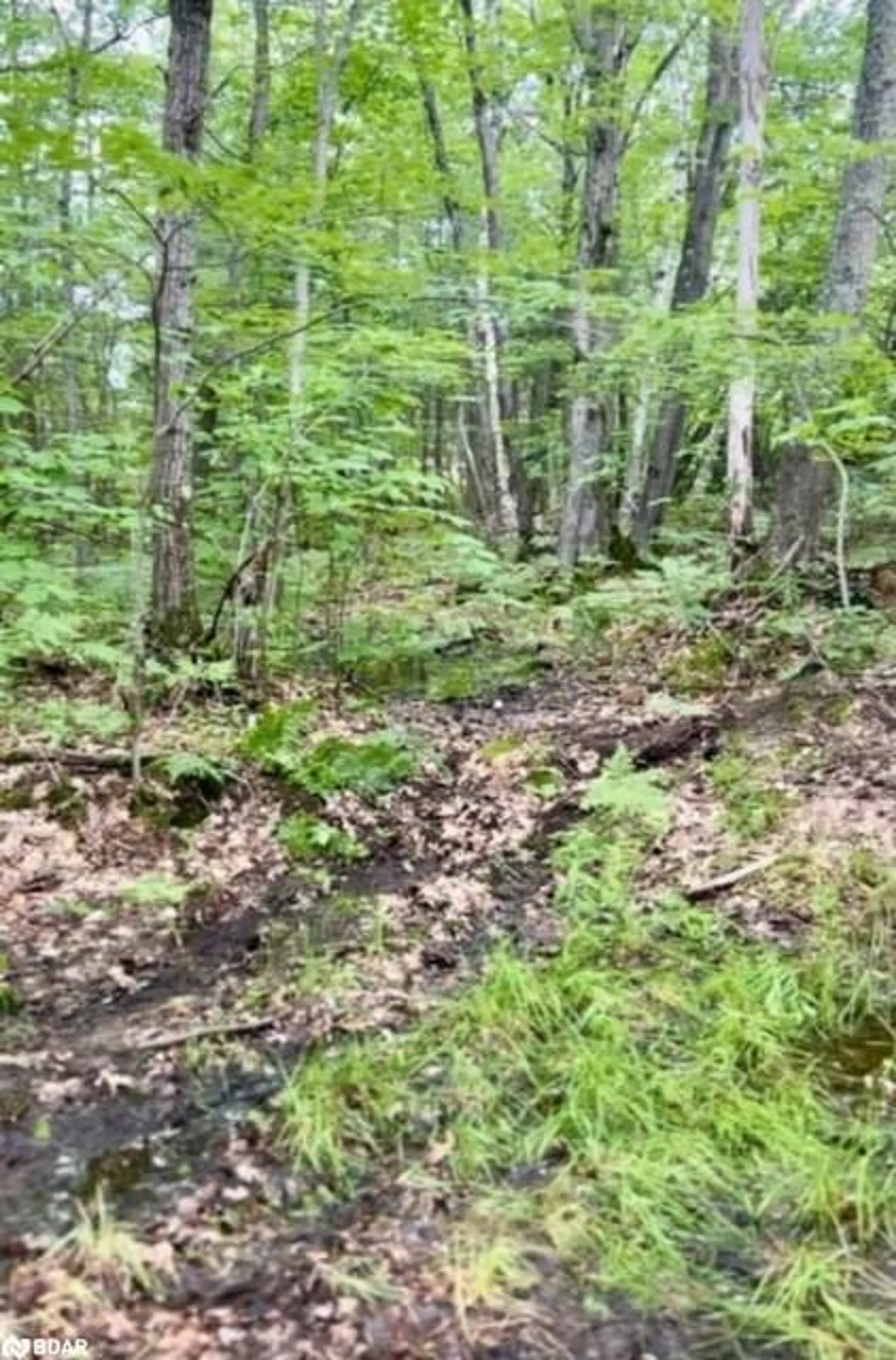 A pic of a room, not visible floor for 3 Corduroy Bay Road, Carling Ontario P0G 1G0