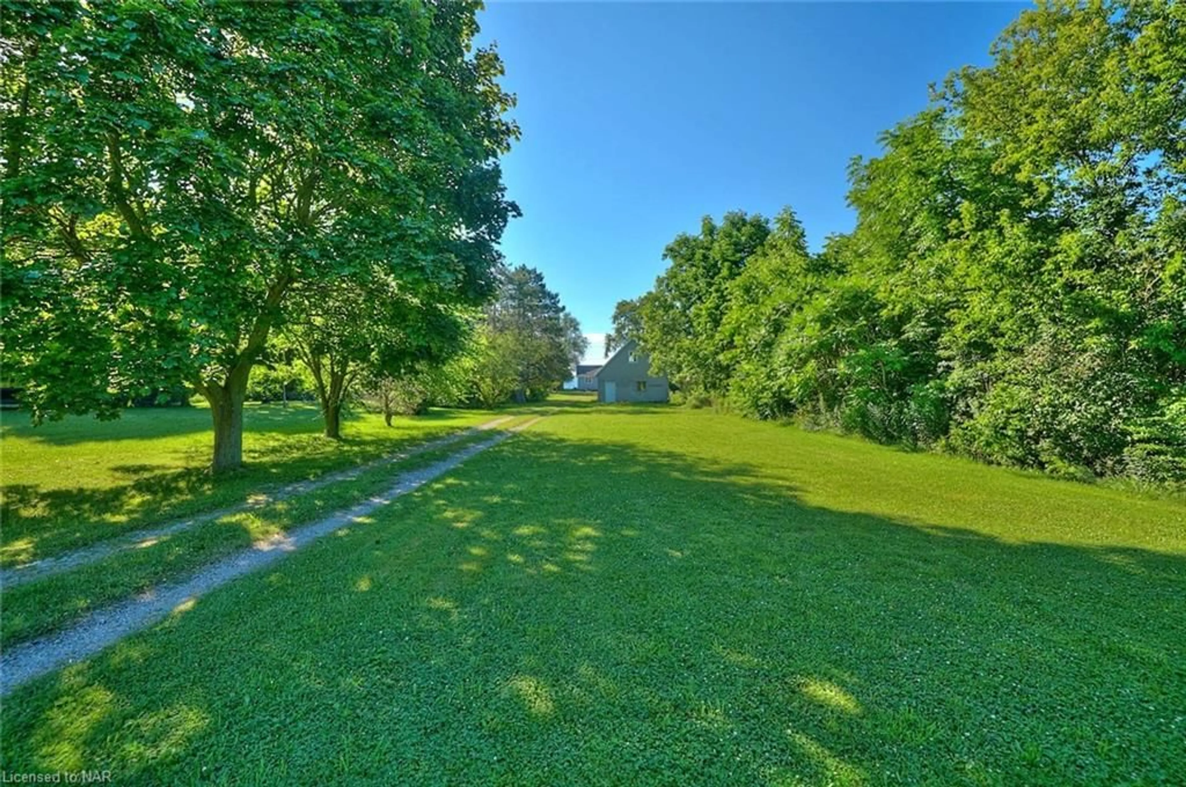 A pic from exterior of the house or condo, the fenced backyard for 11357 Fowler Rd, Wainfleet Ontario L3K 5V4