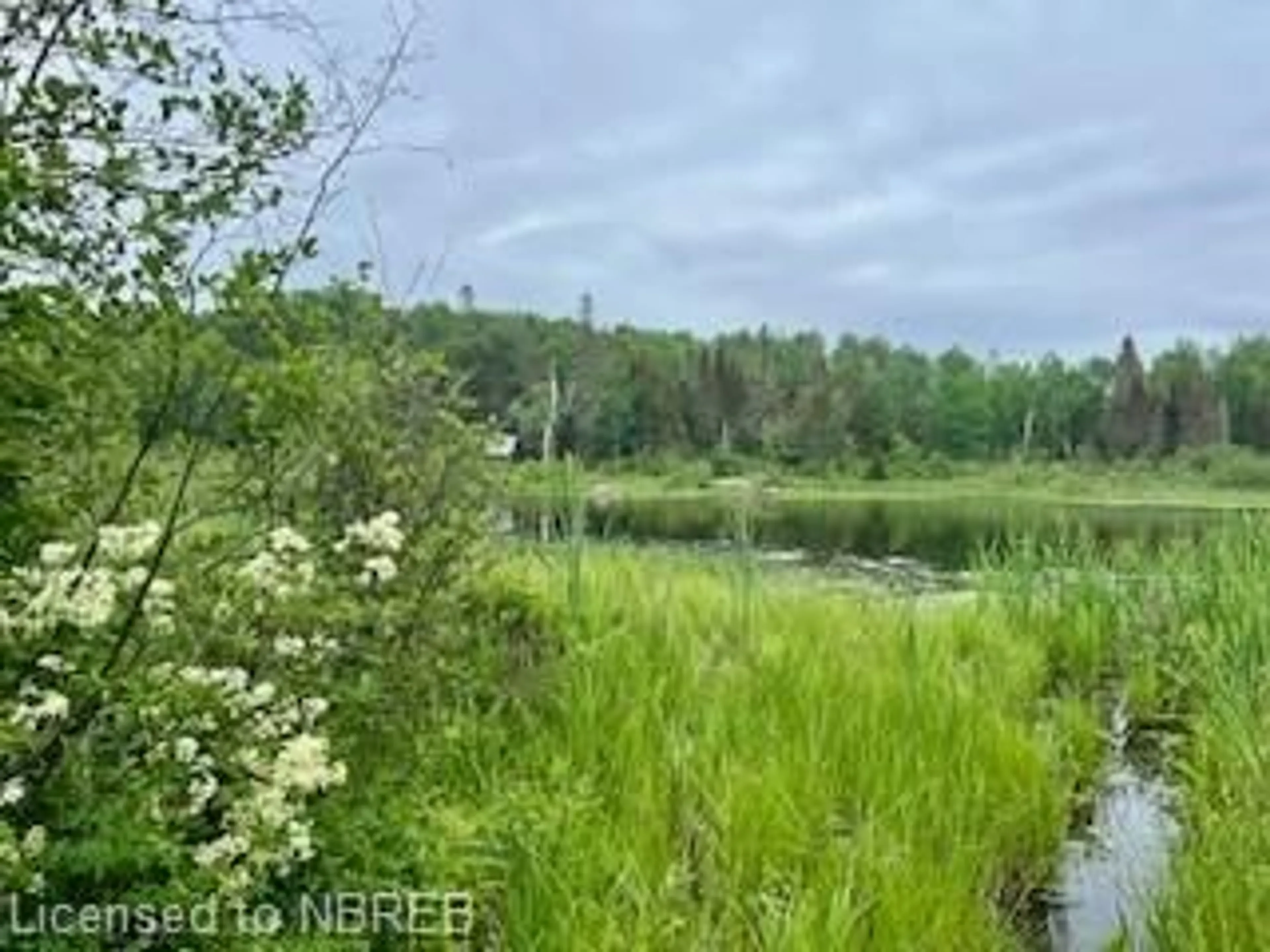 Forest view for LOT 5 Georges Rd, Bonfield Ontario P0H 1E0