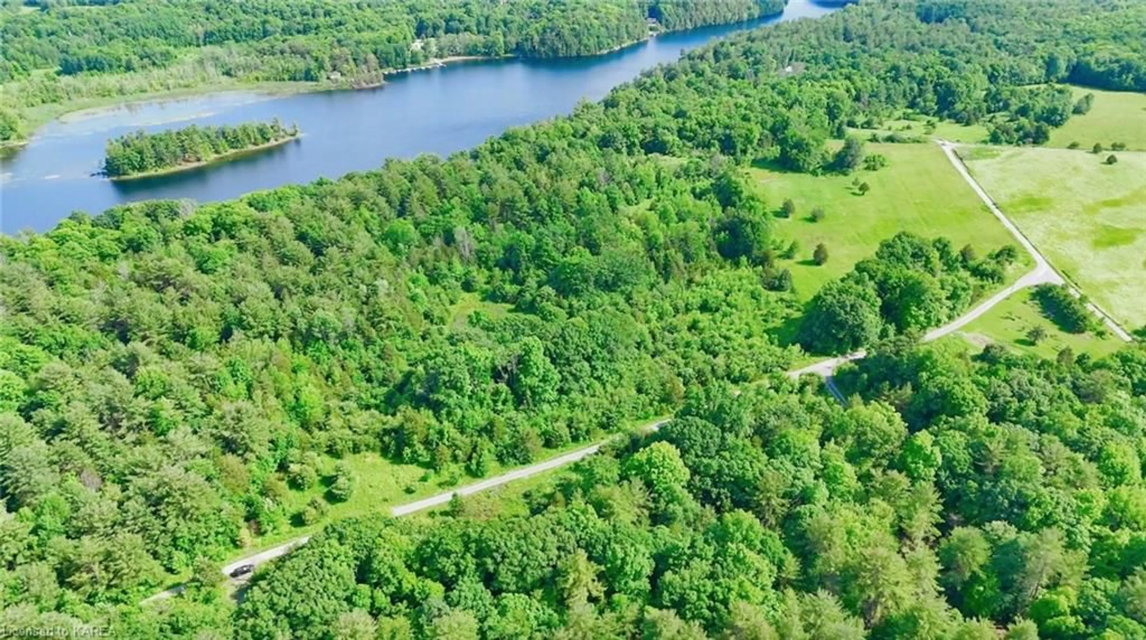 Forest view for 1074 Lodge Lane, Lyndhurst Ontario K0E 1N0