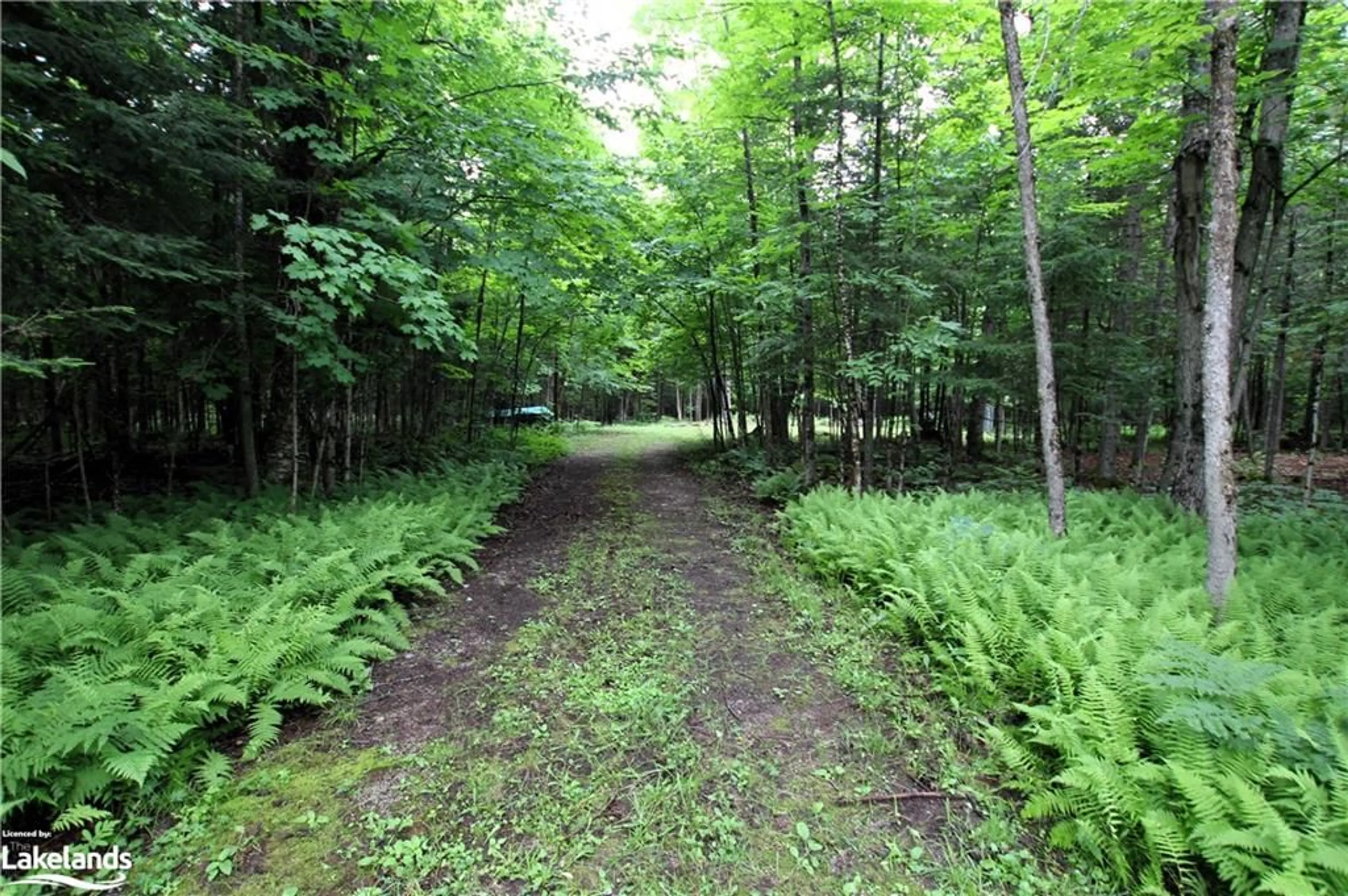 Forest view for 0 Pilgers Rd, Commanda Ontario P0H 1J0