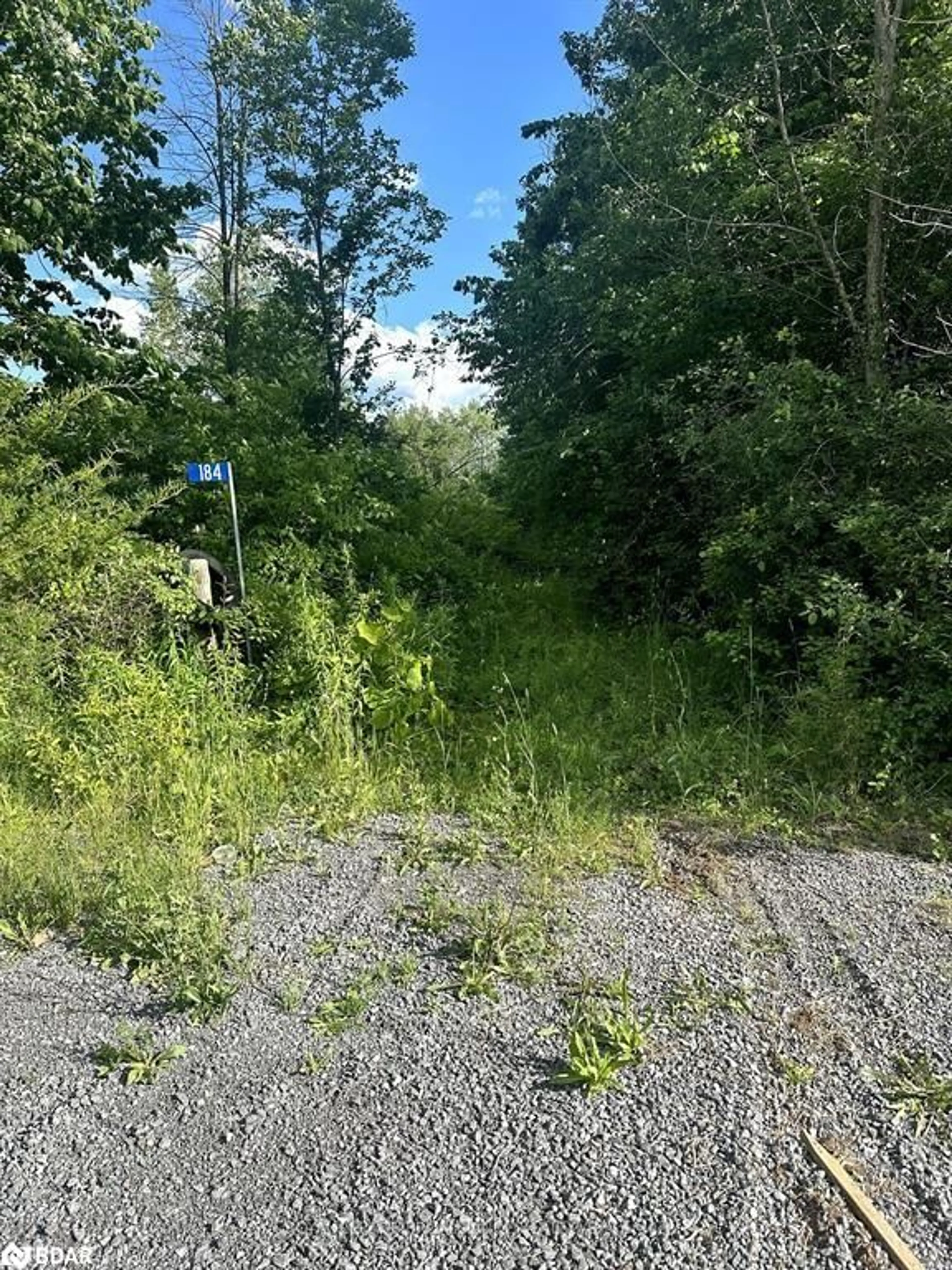 Forest view for 184 Upper Slash Rd, Tyendinaga Ontario K0K 3A0