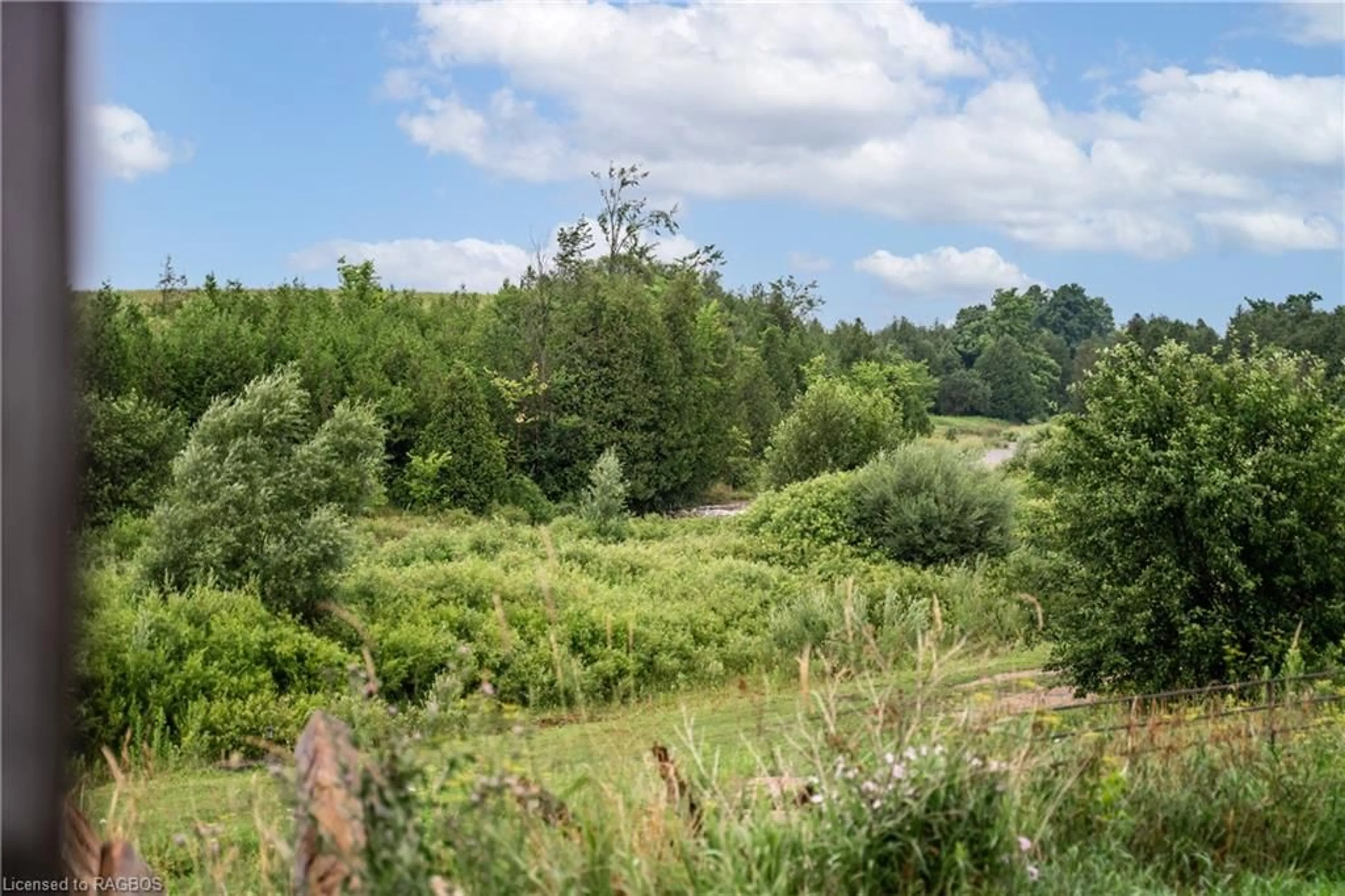 Forest view for 21 Station St, Amaranth Ontario L9W 0V2