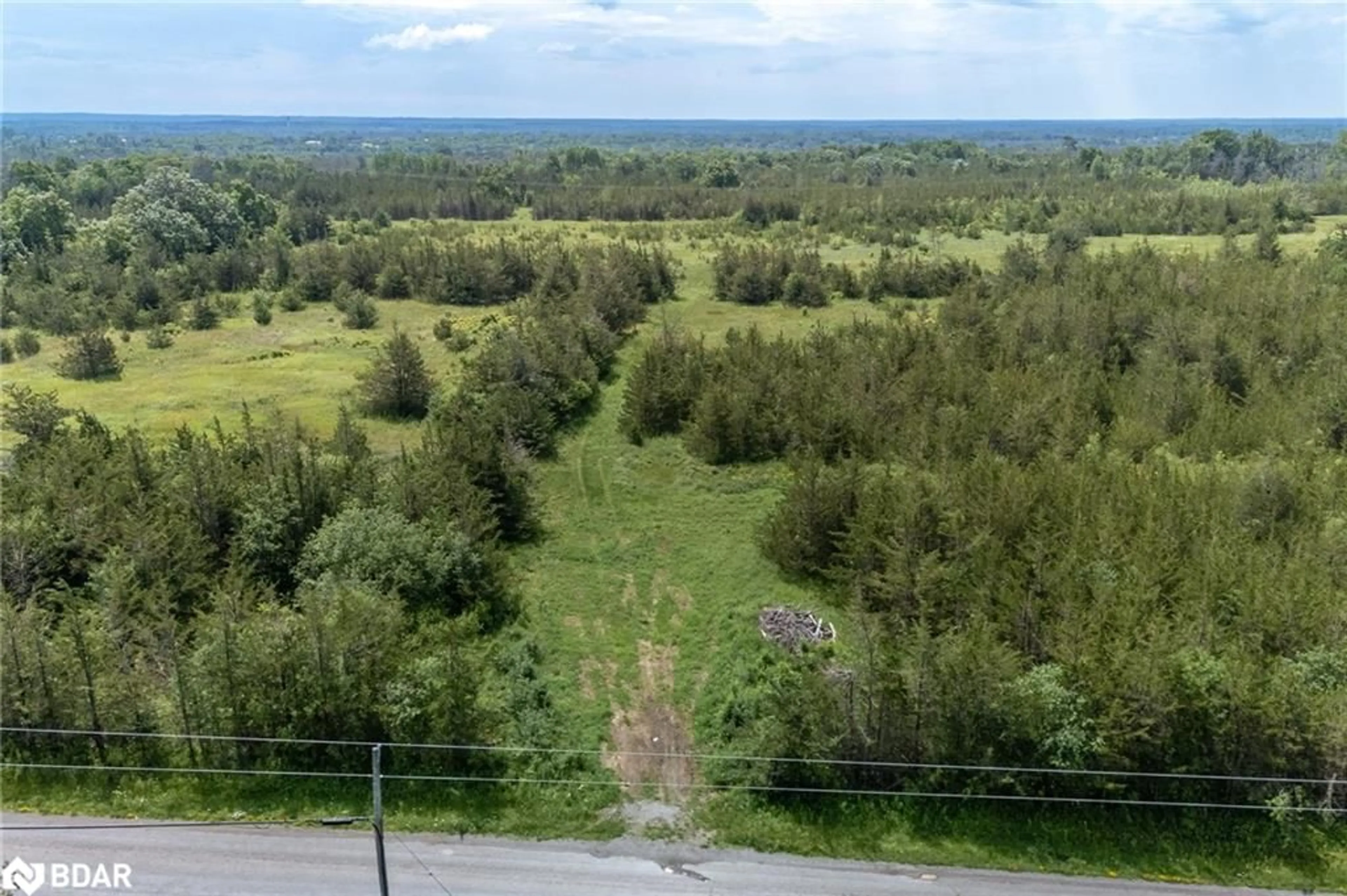 Forest view for 1140 Lazier Rd, Shannonville Ontario K0K 3A0