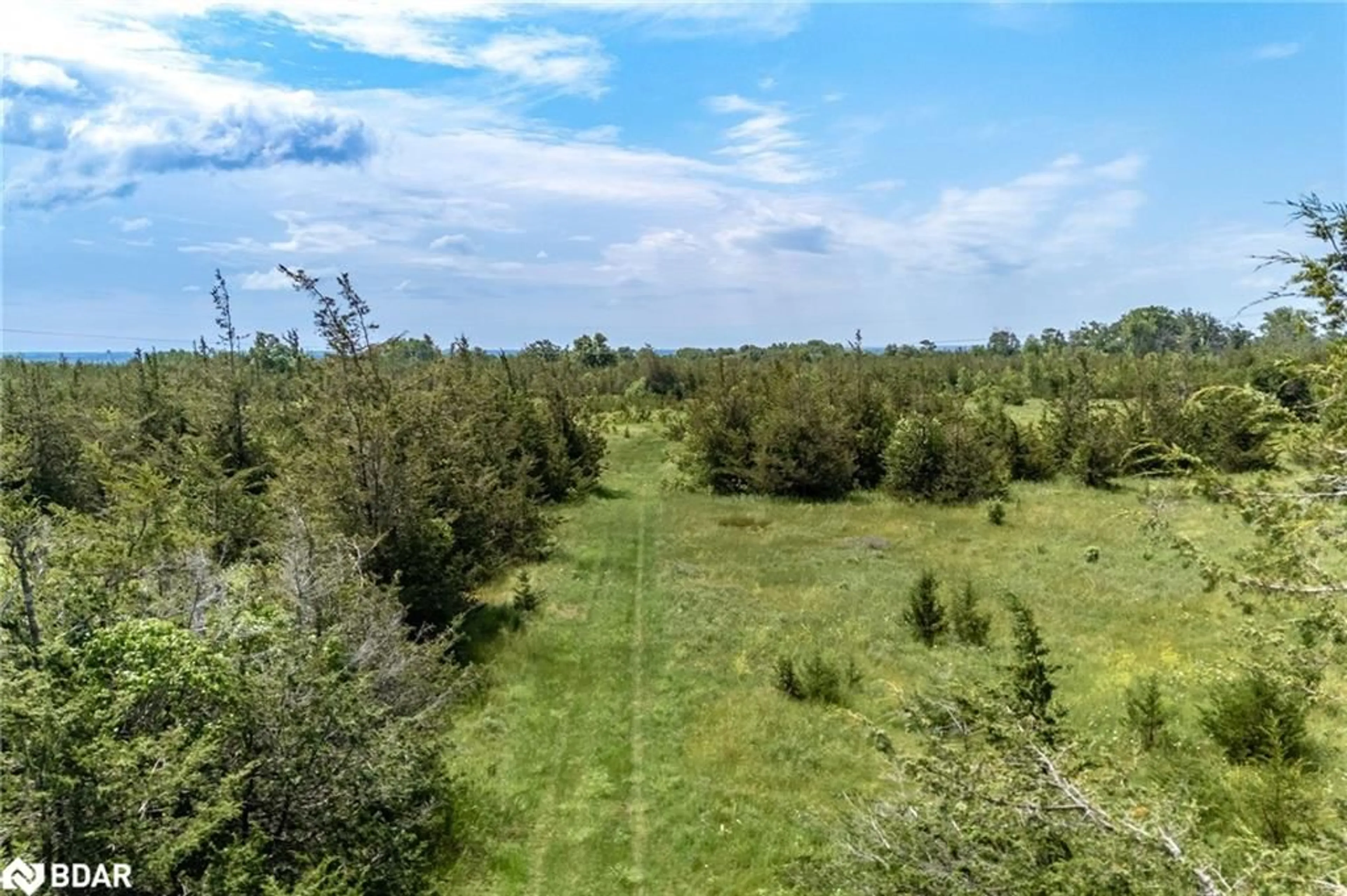 Forest view for 1140 Lazier Rd, Shannonville Ontario K0K 3A0