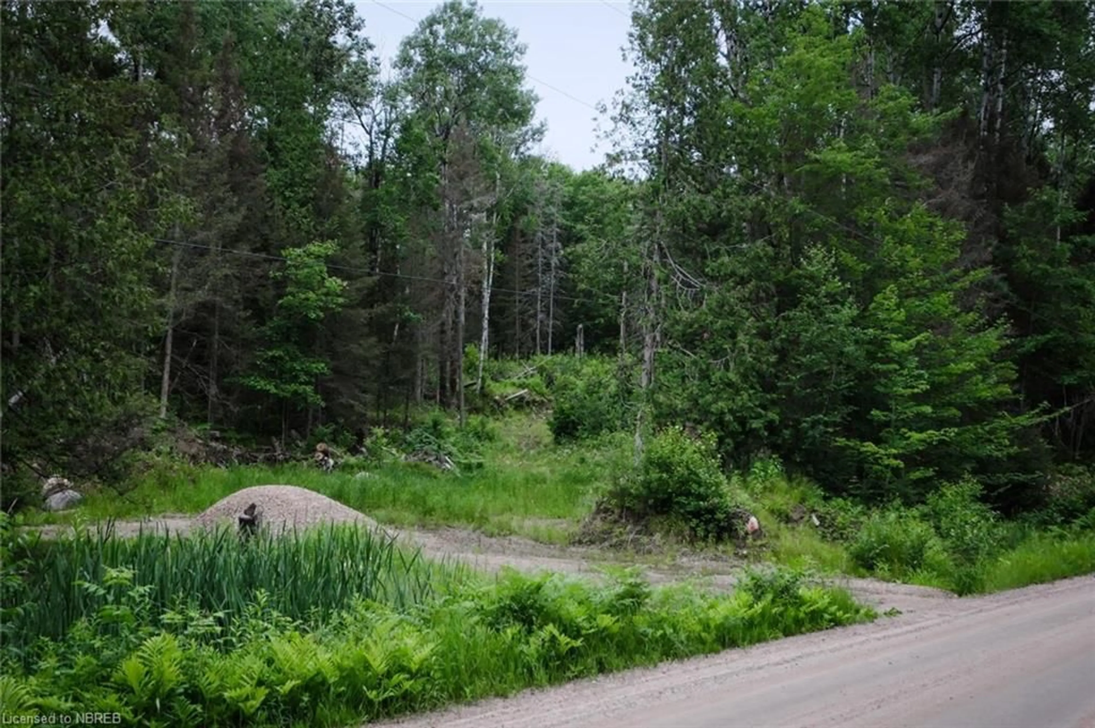 Forest view for LOT 35, PLAN 2 Talon Lake Rd, Bonfield Ontario P0H 2E0