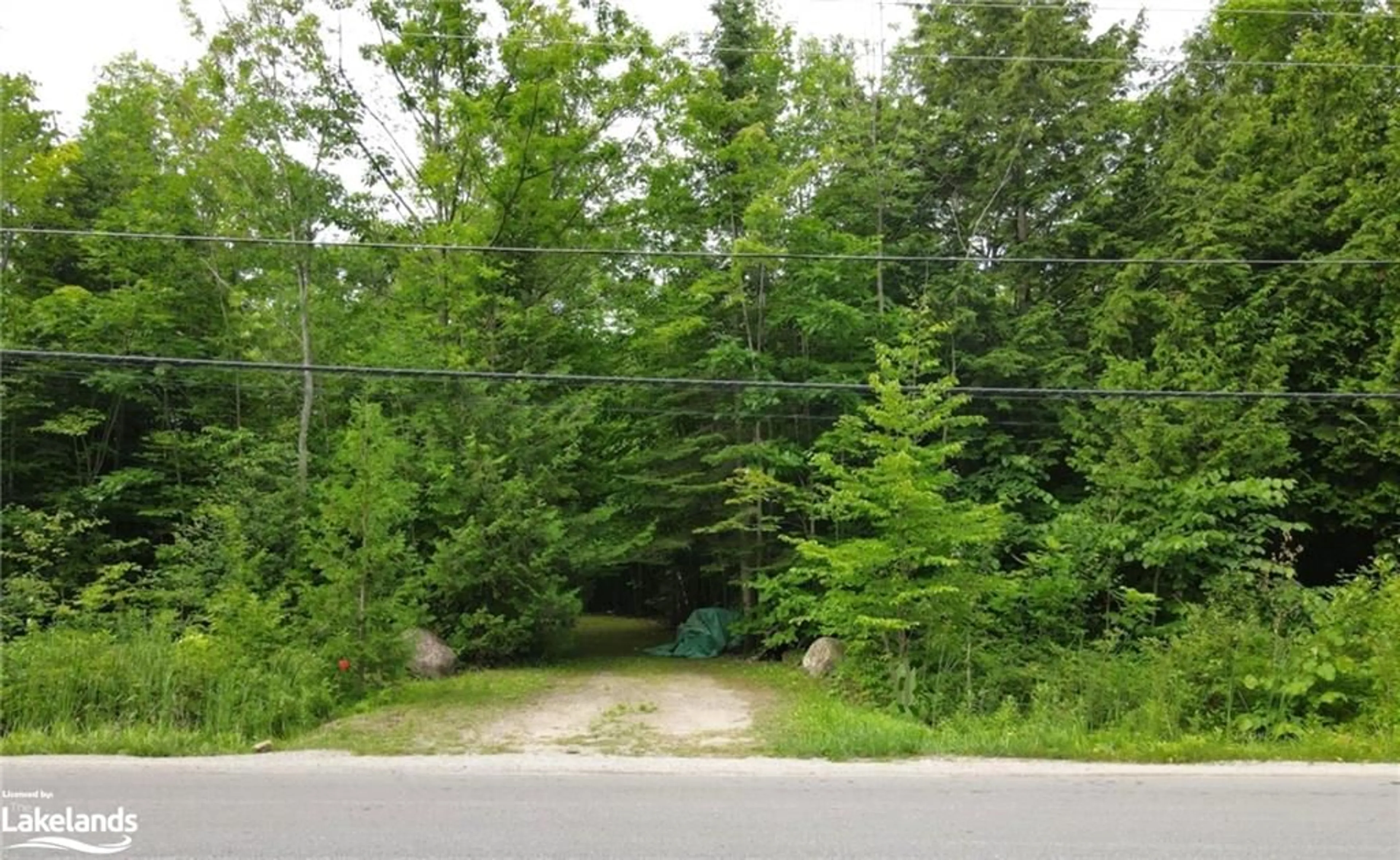 Forest view for LOT 3 PLAN M81 Champlain Rd, Tiny Ontario L9M 0C1