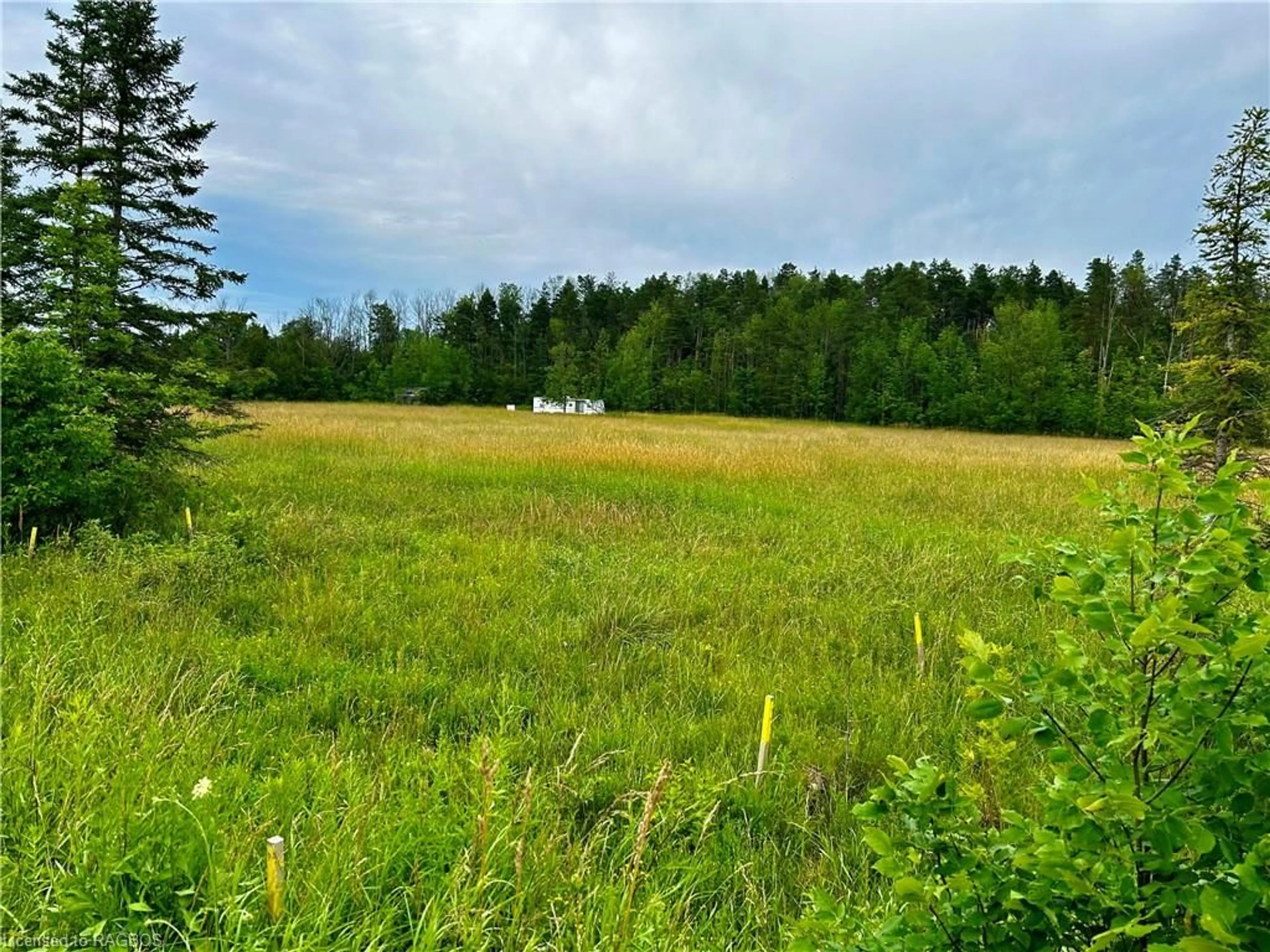 Forest view for LT 29 Concession 2 Wgr, West Grey Ontario N0H 1R0