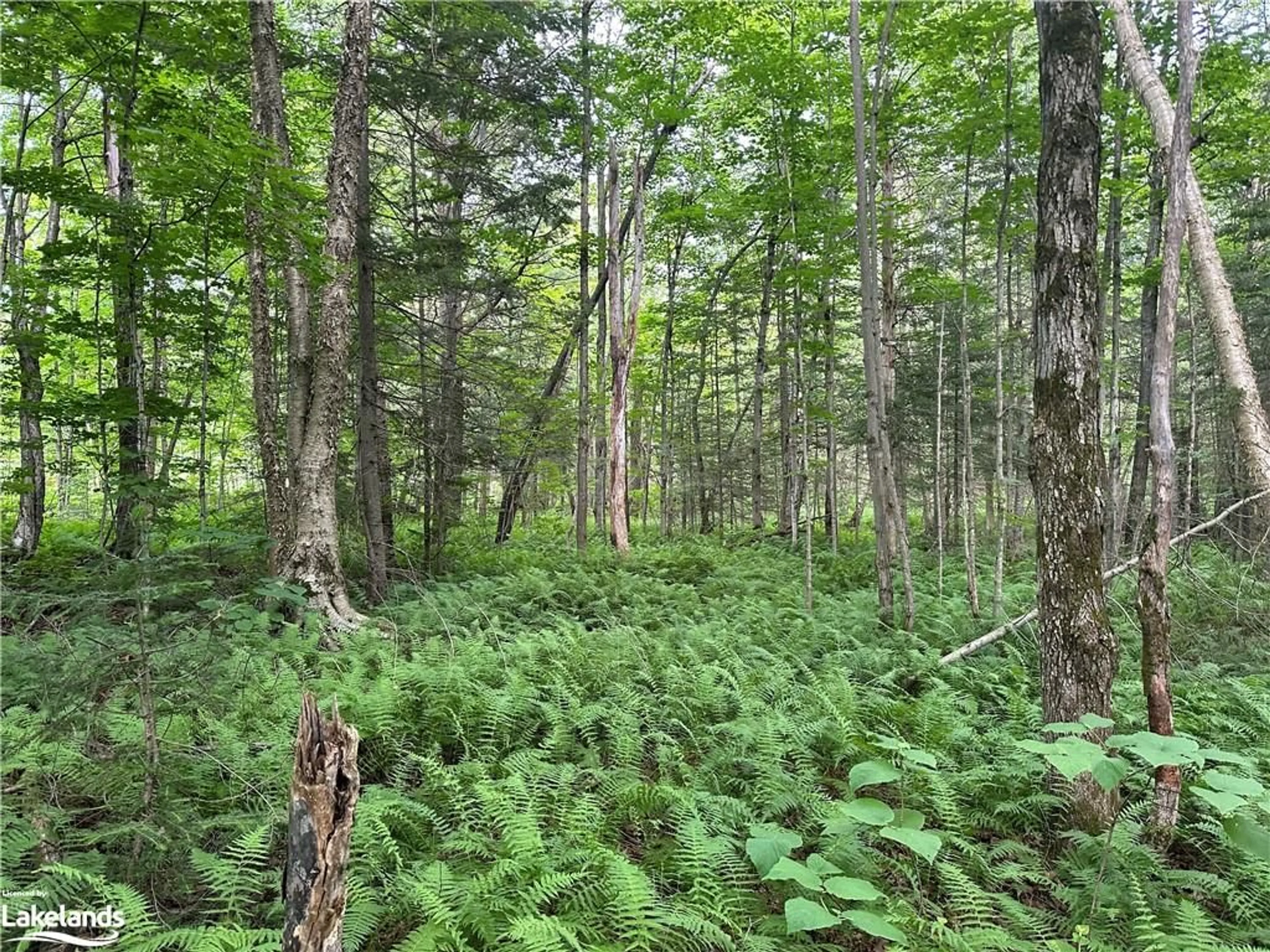 A pic of a room, unknown floor for 54 Woods Rd, Nobel Ontario P0G 1G0