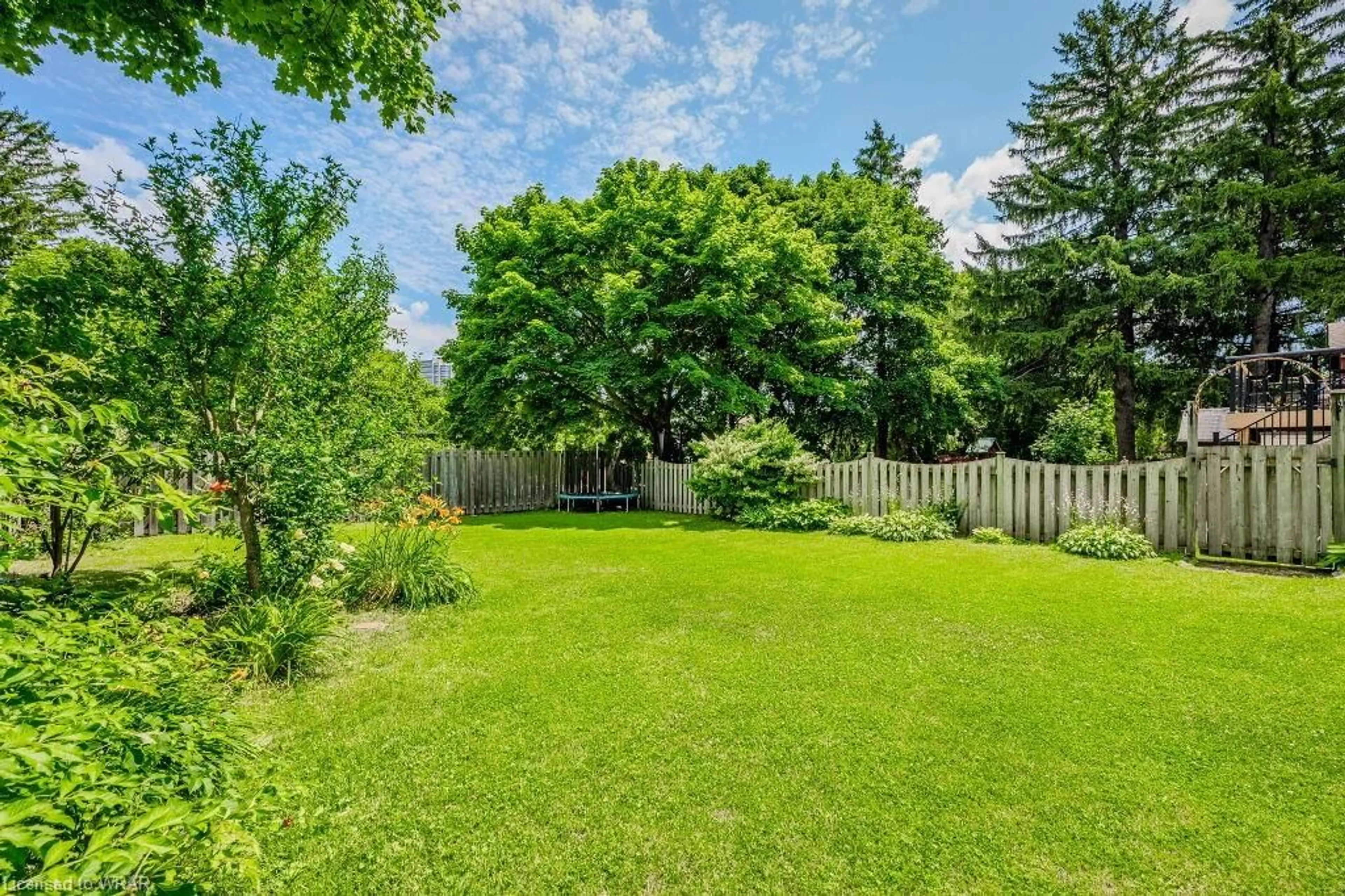 Fenced yard for 148 Avondale Ave, Waterloo Ontario N2L 2C6