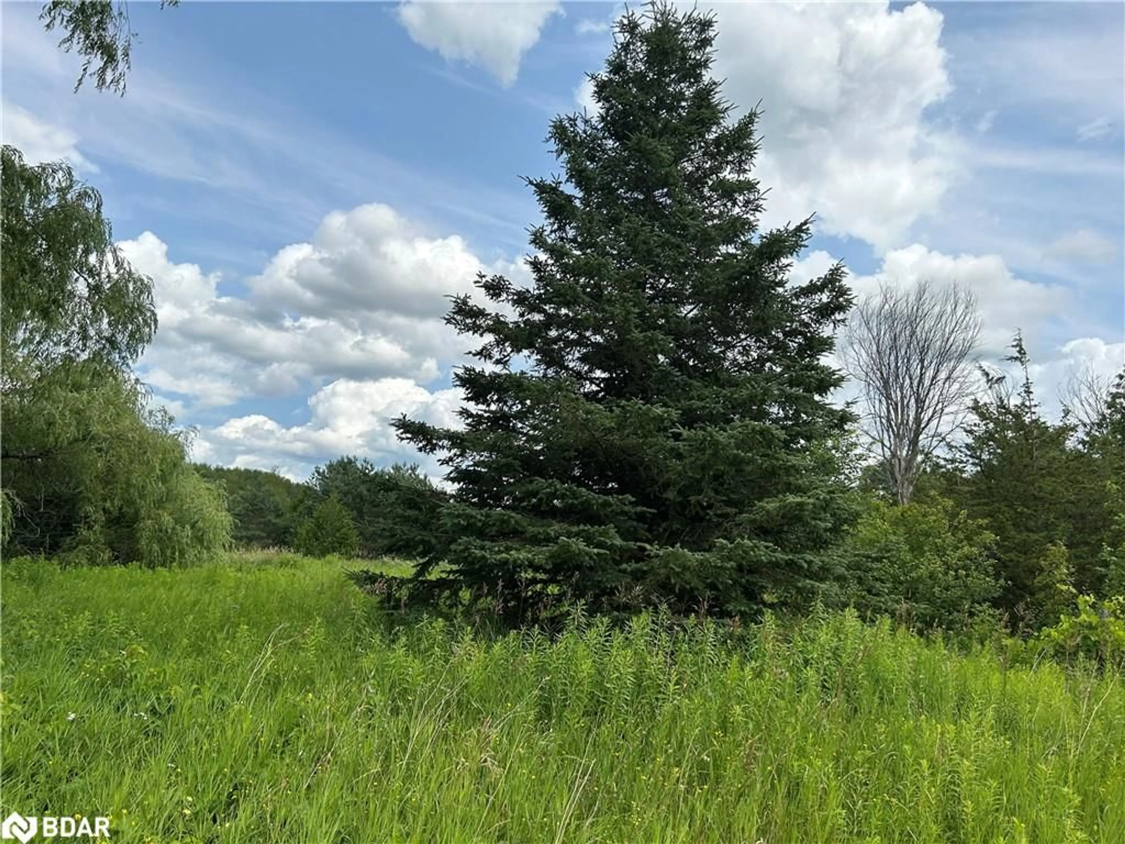 Forest view for 00 Wood Rd, Tay Twp Ontario L0K 2E0